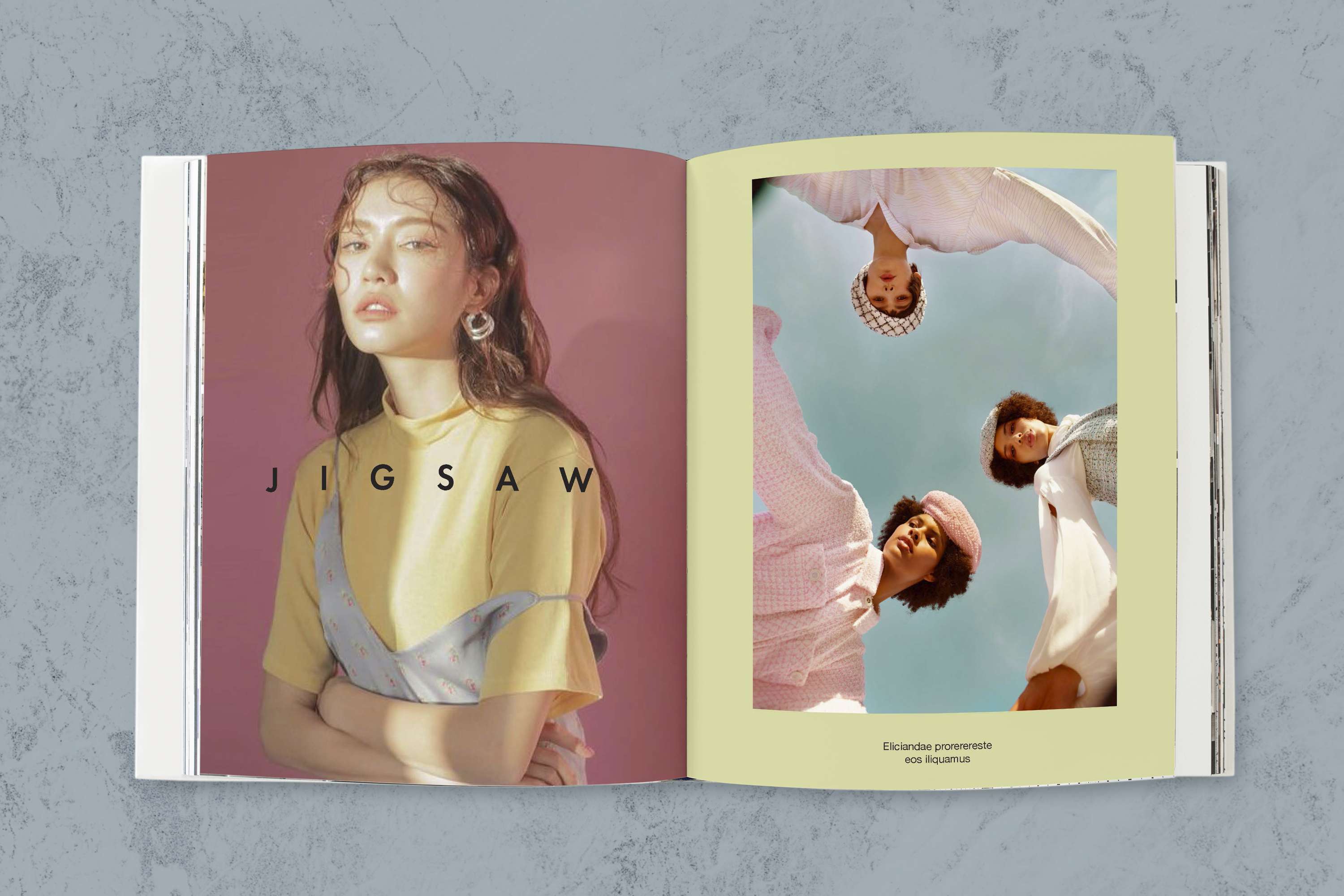 Jigsaw Editorial Brief by Sofia Froud