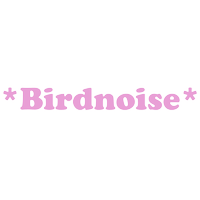 *Birdnoise* logo