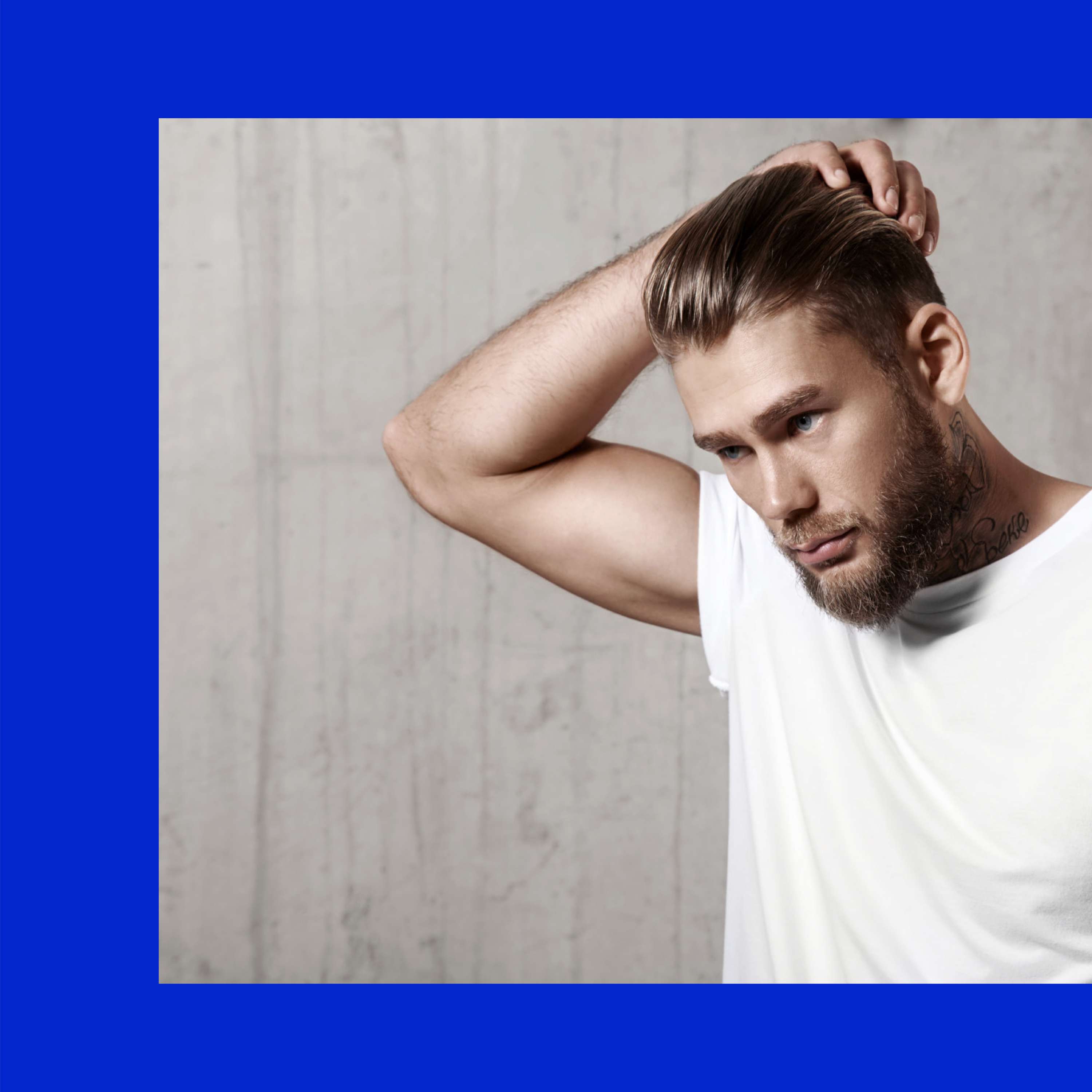 Freshen Up With by Ashley Paul Bell