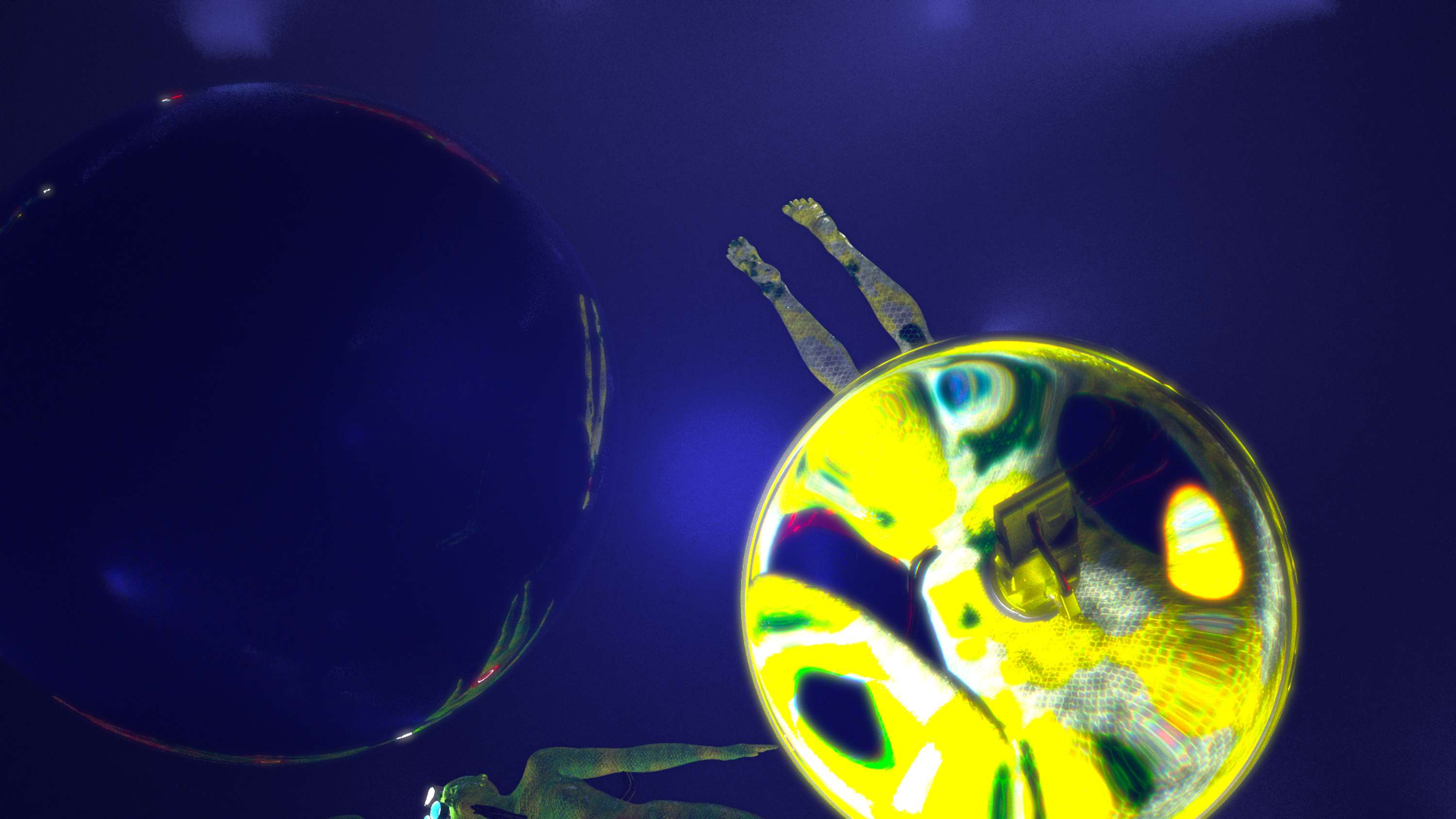 BOILER ROOM Sting Animation 2019 by Georgi Stamenov