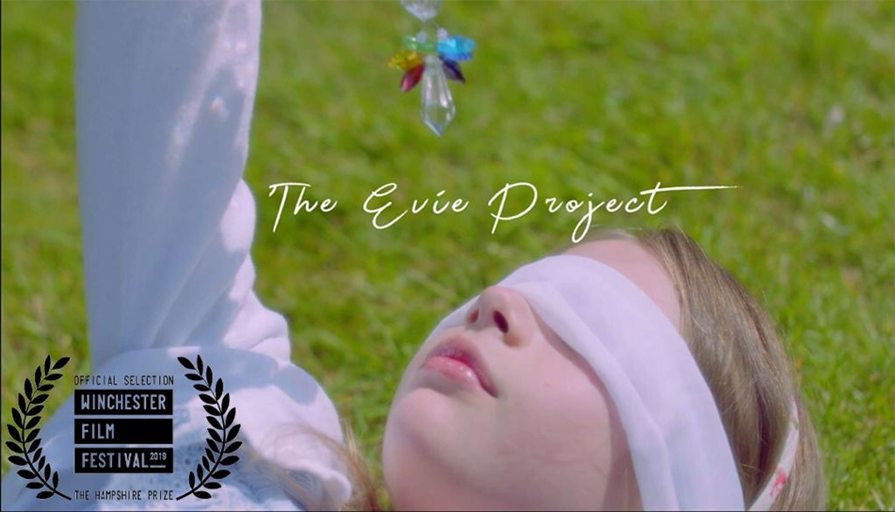The Evie Project by Mickaela Drew