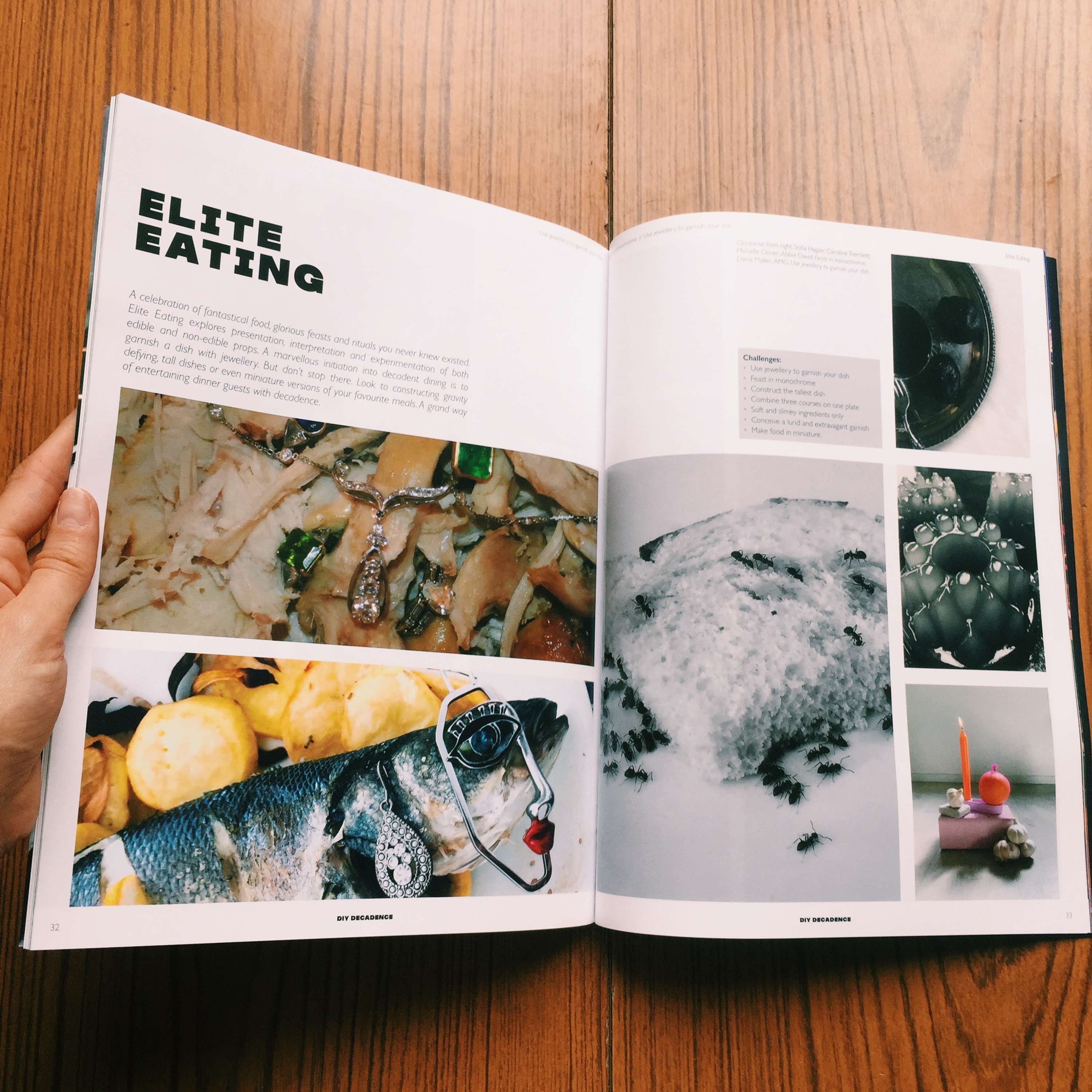 DIY Decadence by Abbie David
