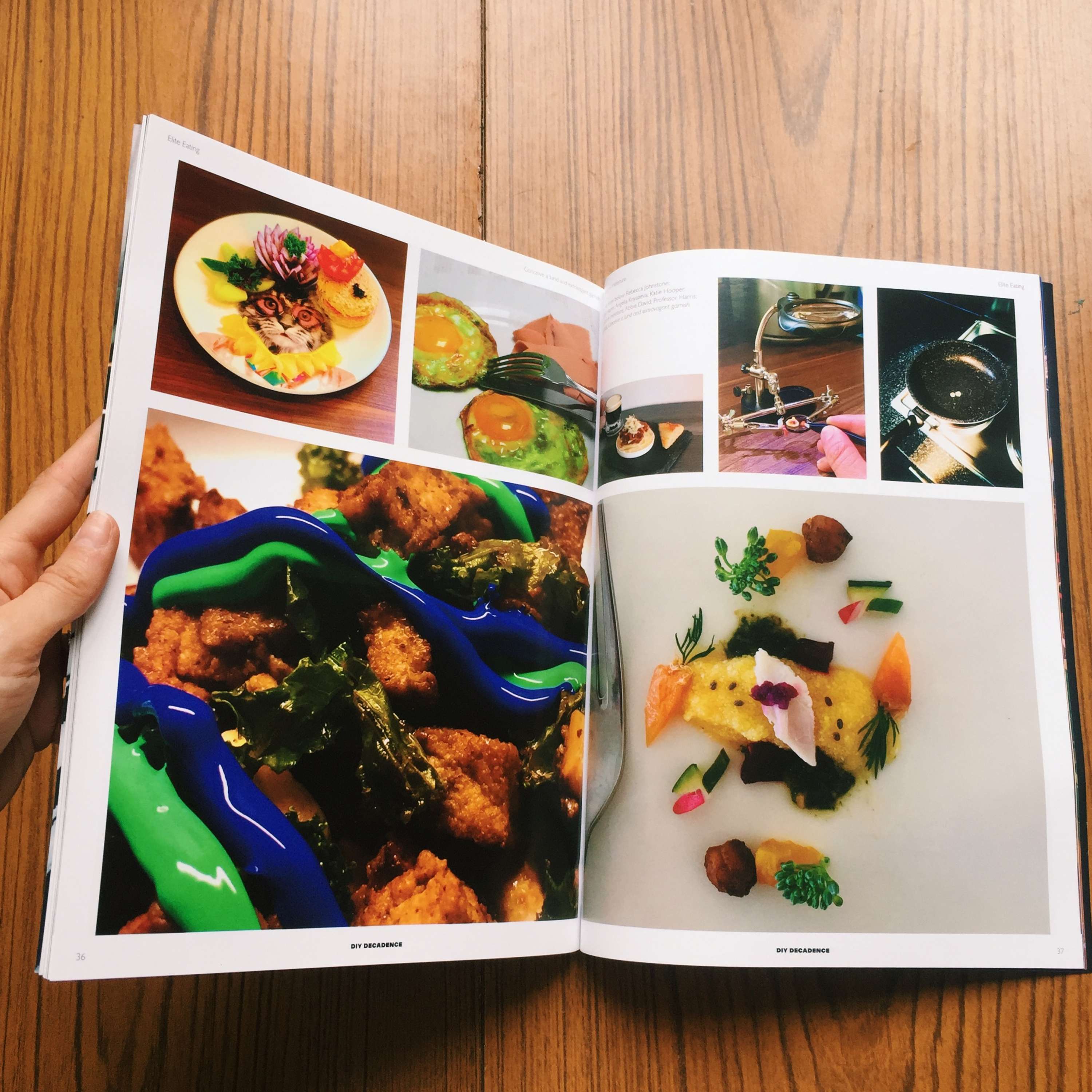 DIY Decadence by Abbie David