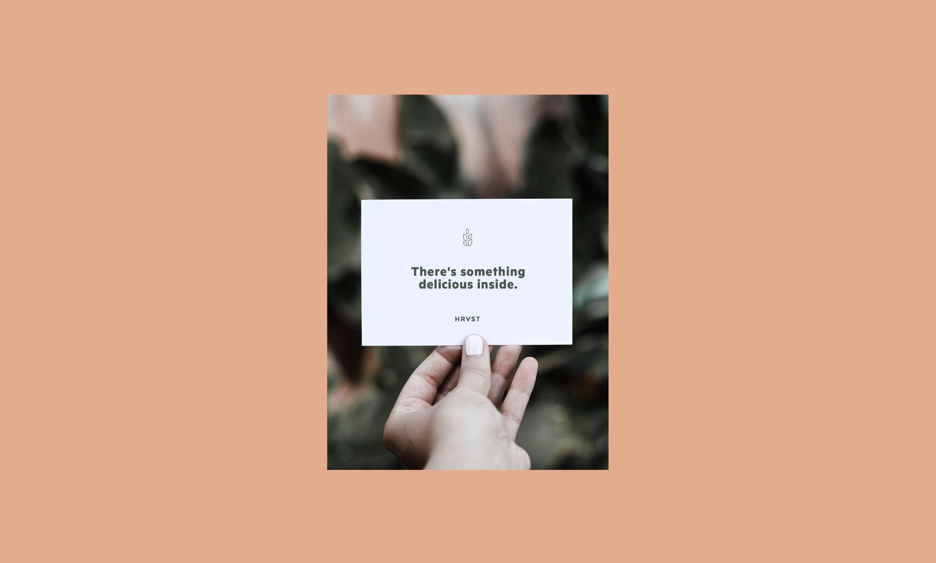 HRVST by Nicola Acquisto