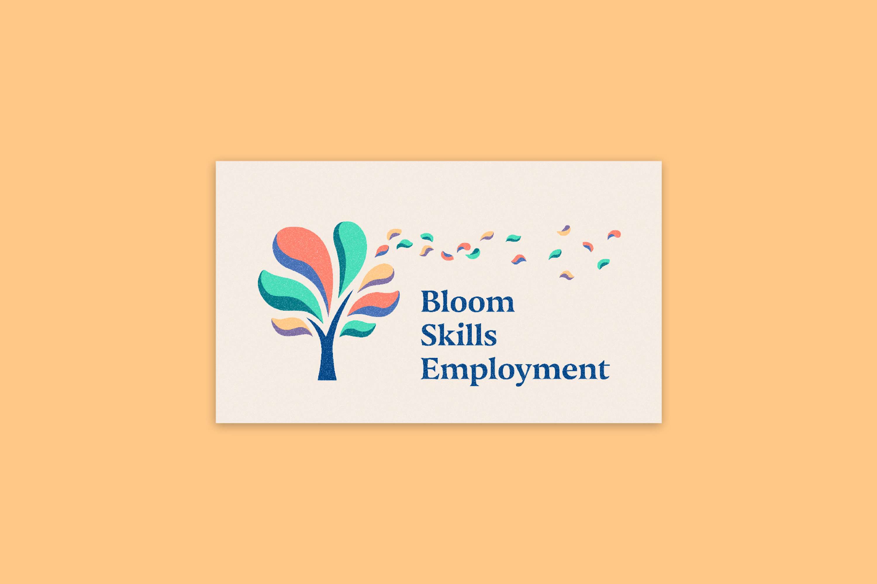 Bloom Skills Employment by Benjamin Strachan