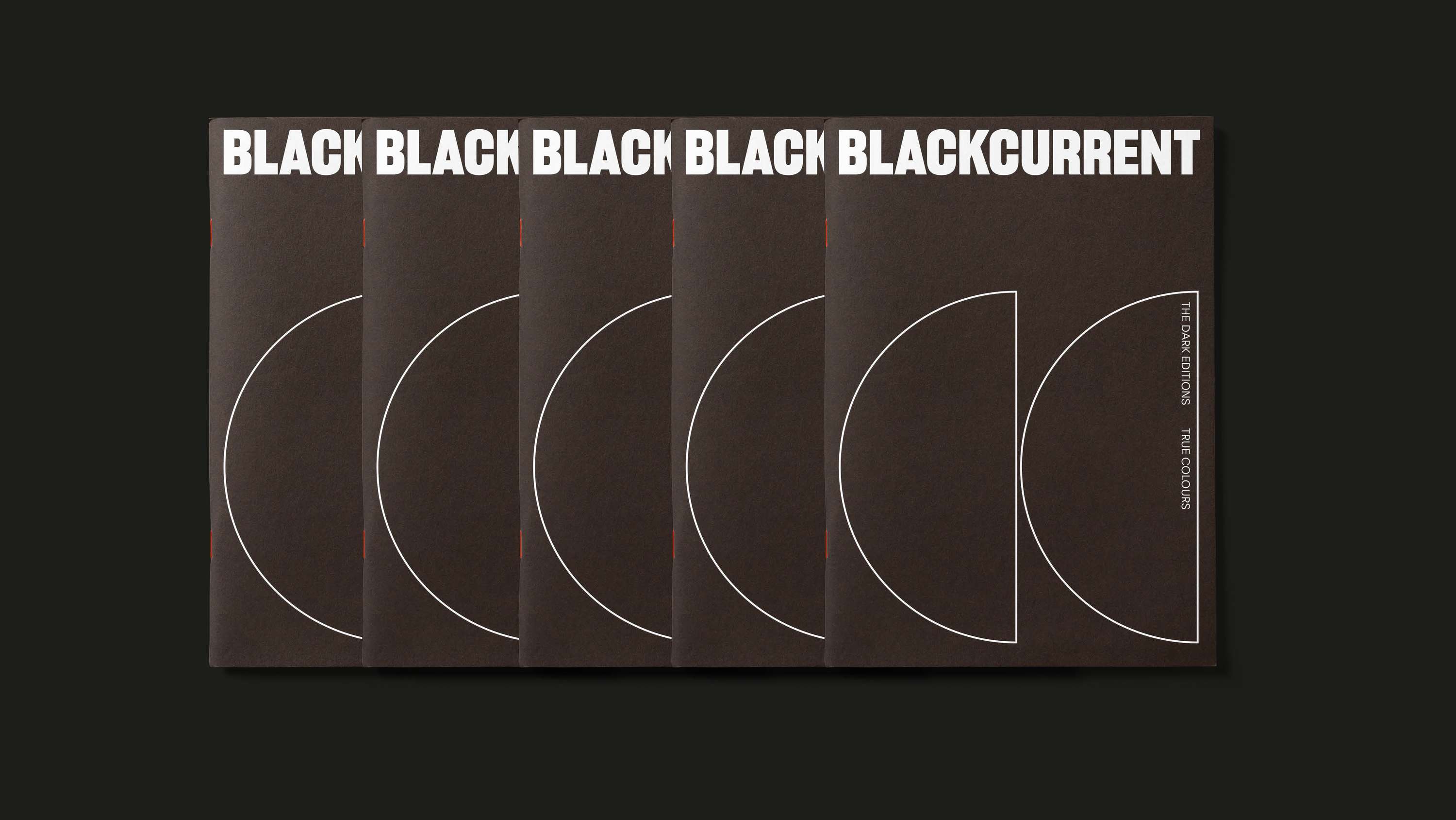 Blackcurrent Visual Identity by Sthuthi Ramesh