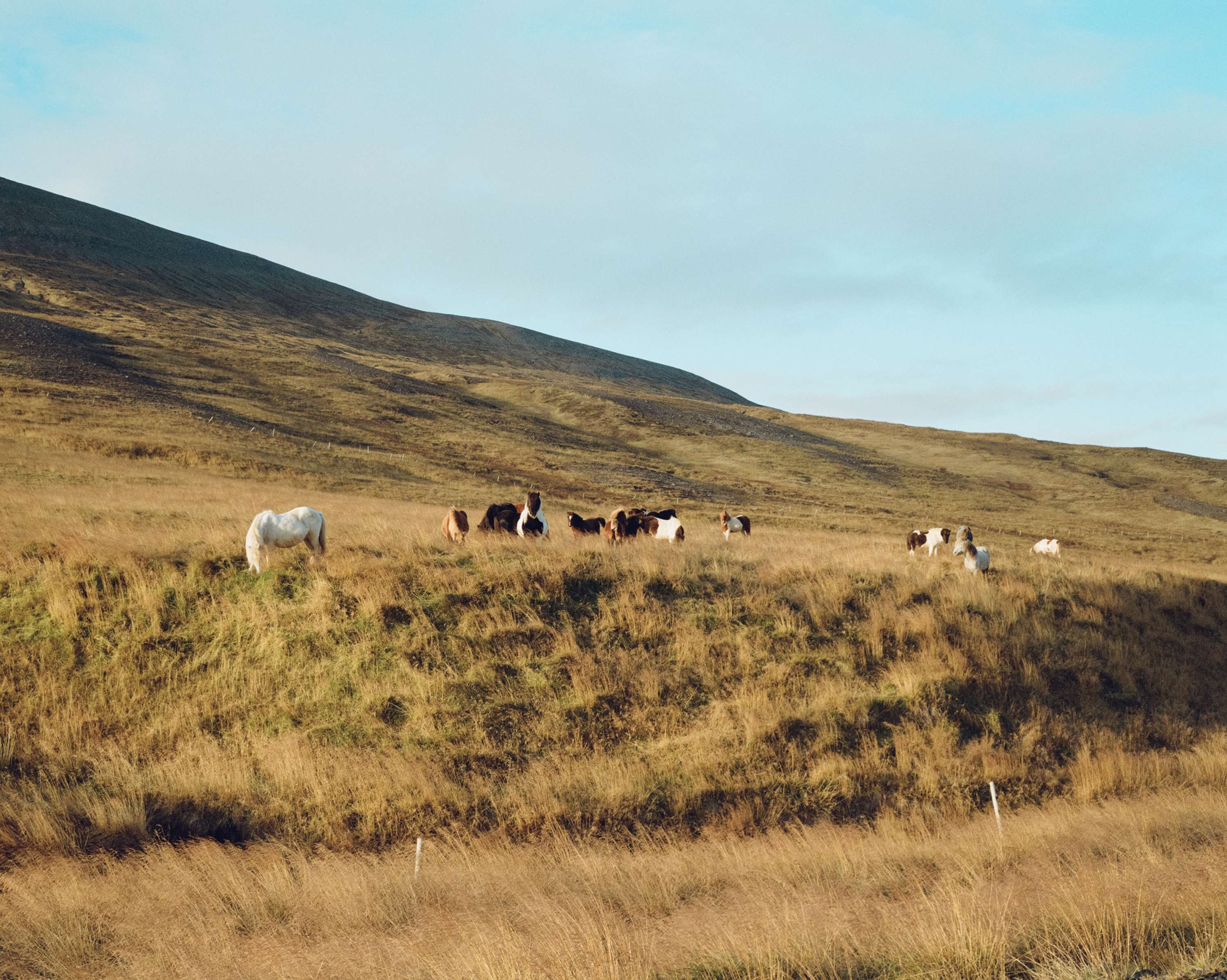 On The Farm by Chanel Irvine