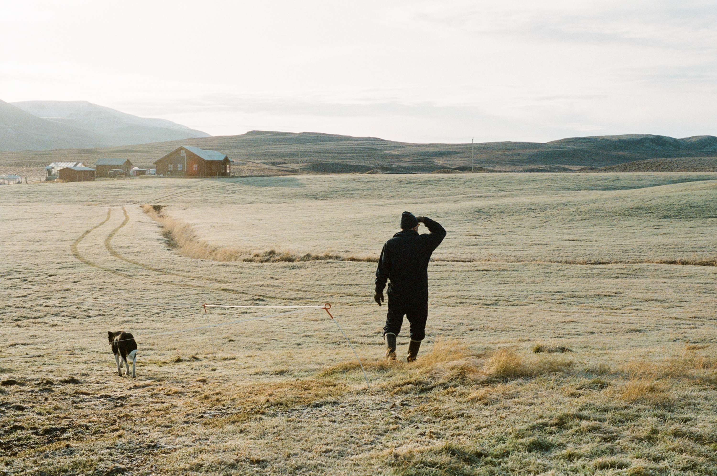 On The Farm by Chanel Irvine