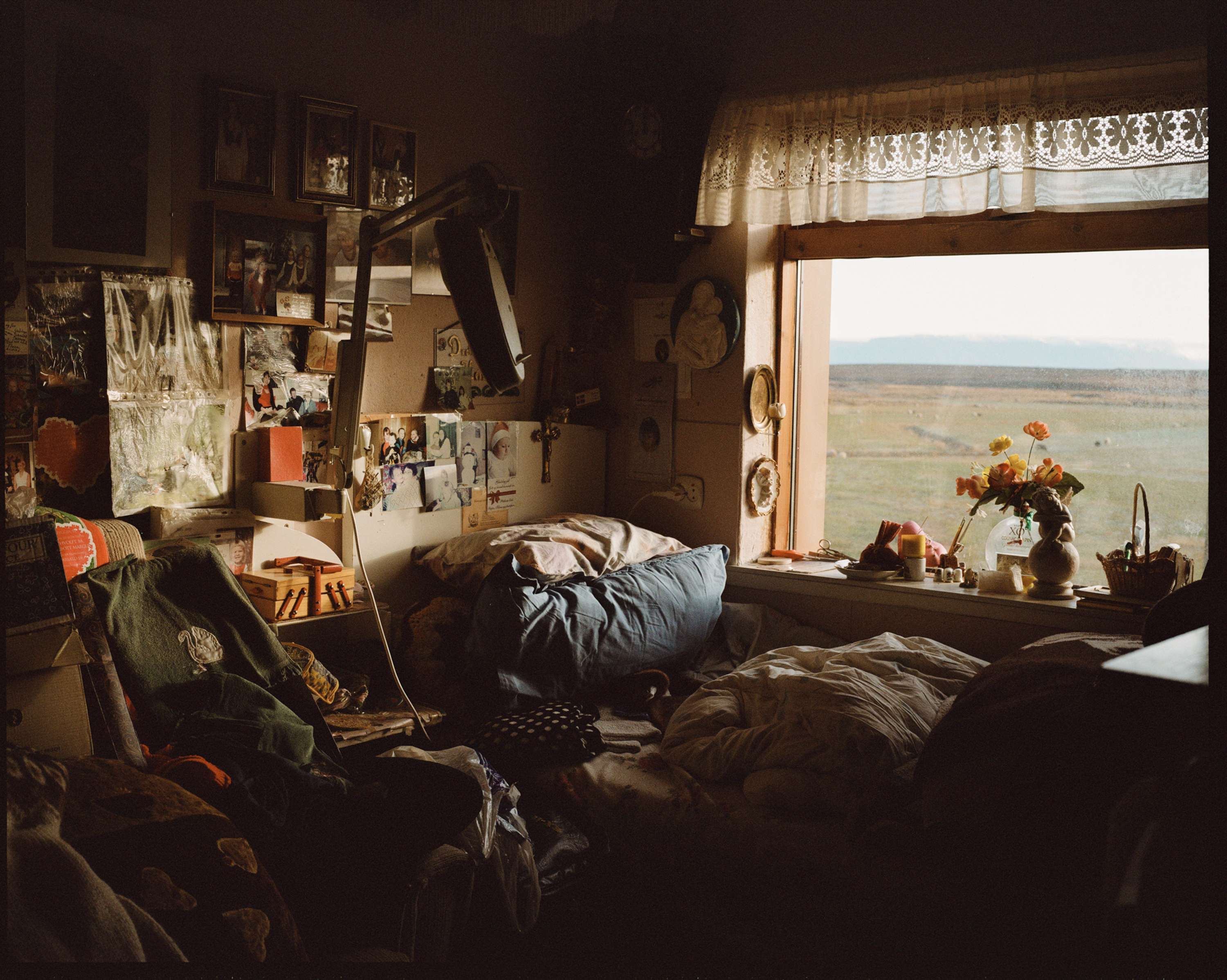 On The Farm by Chanel Irvine
