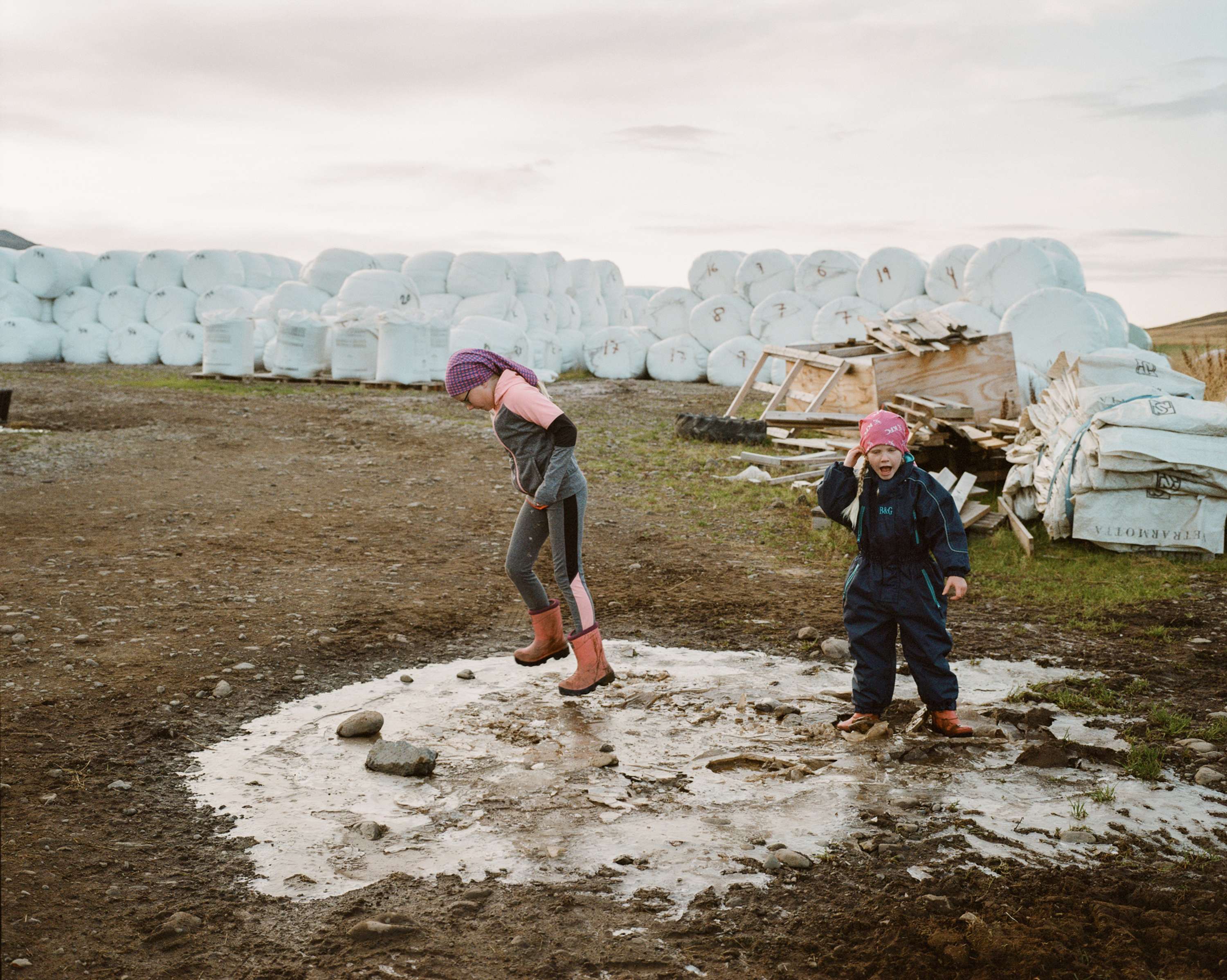 On The Farm by Chanel Irvine