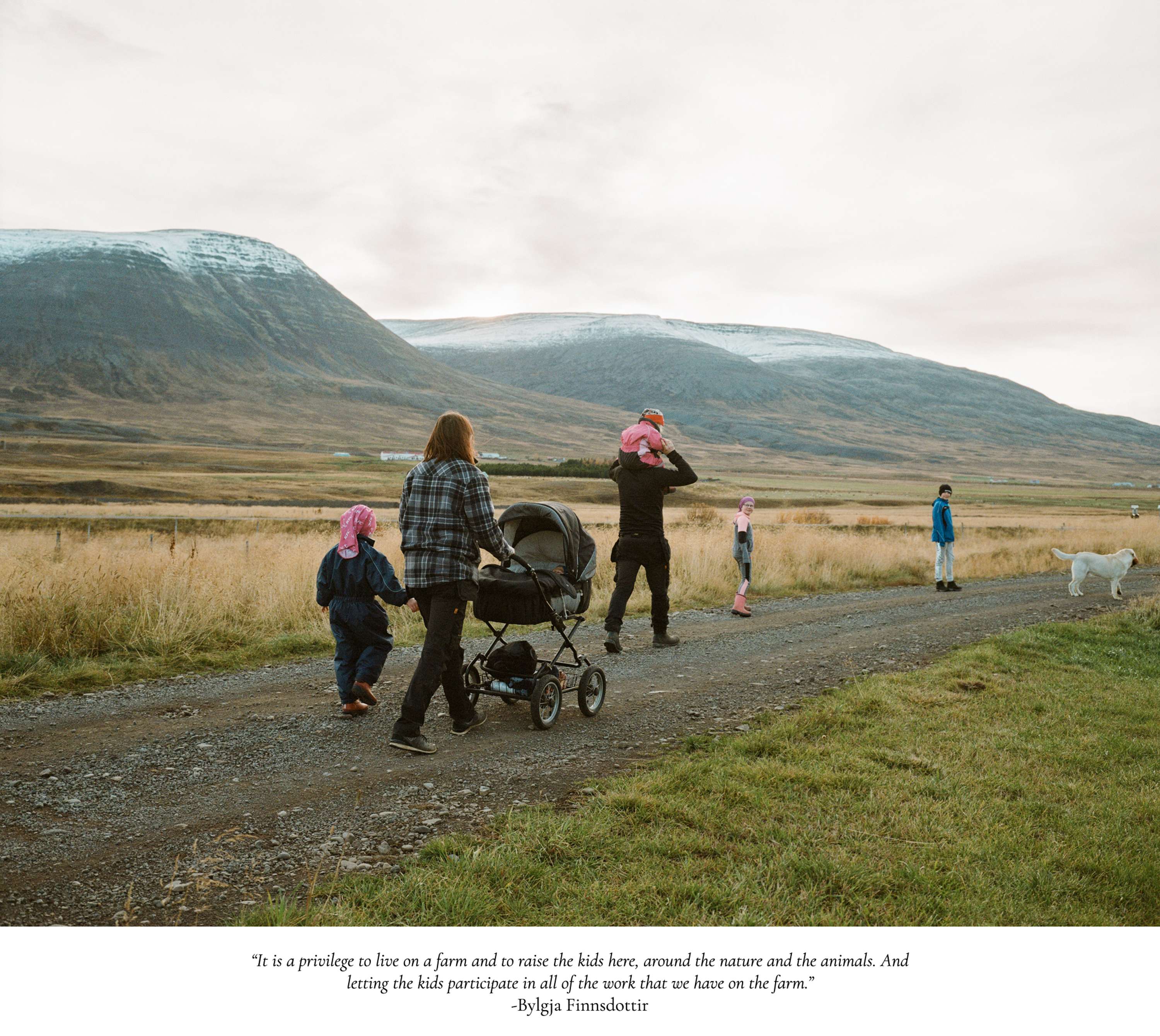 On The Farm by Chanel Irvine