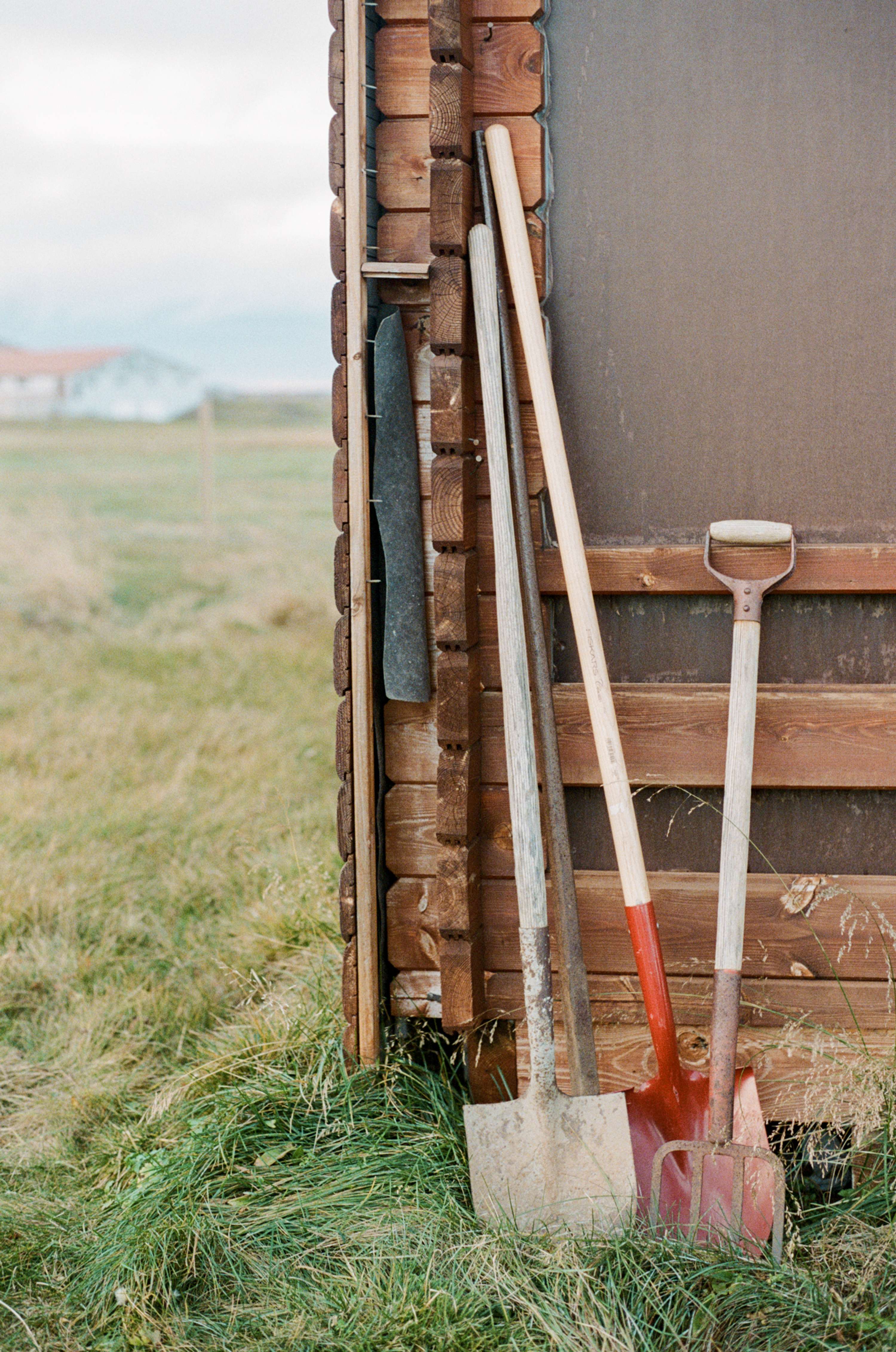 On The Farm by Chanel Irvine