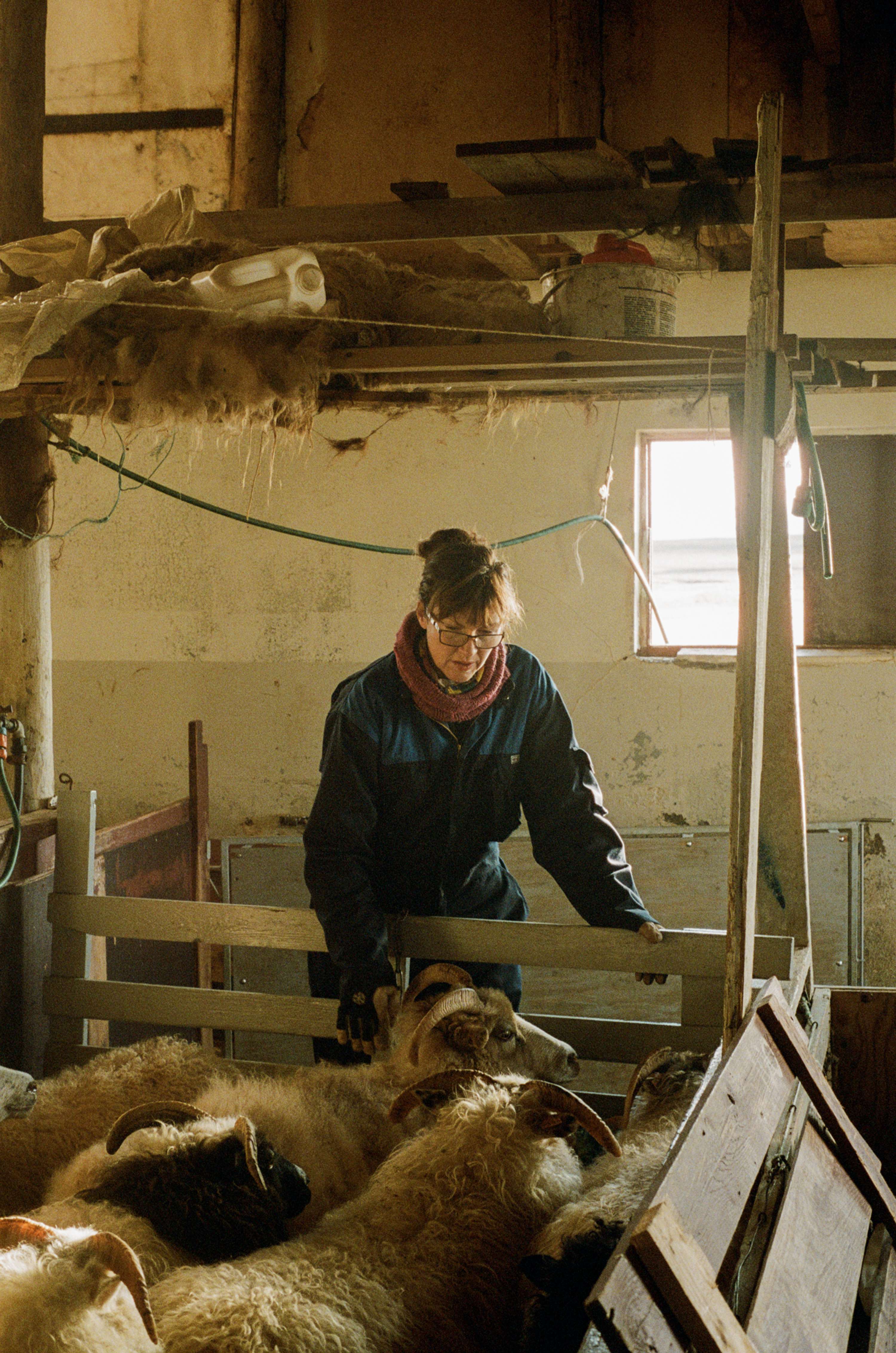 On The Farm by Chanel Irvine