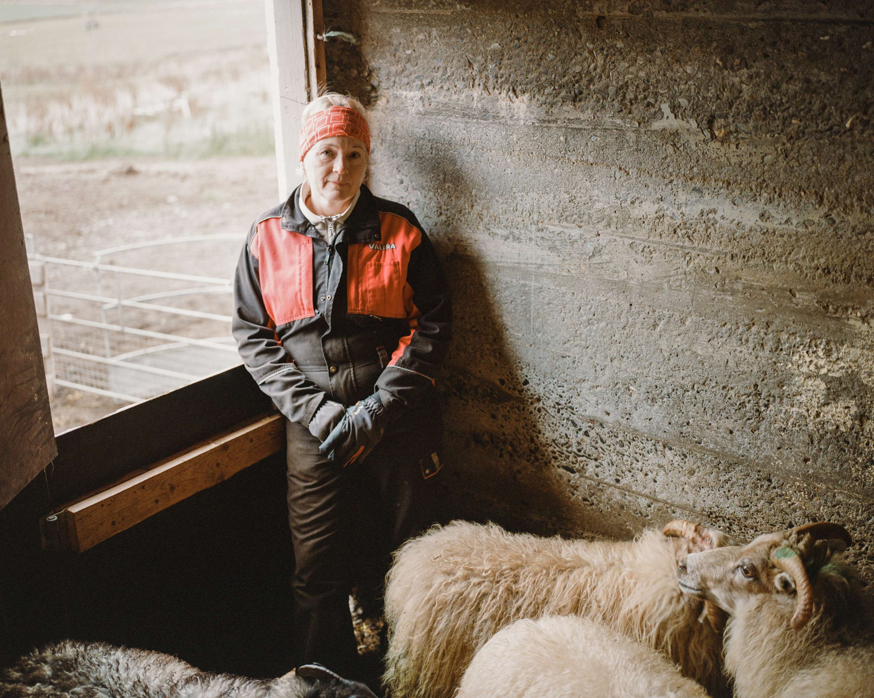 On The Farm by Chanel Irvine