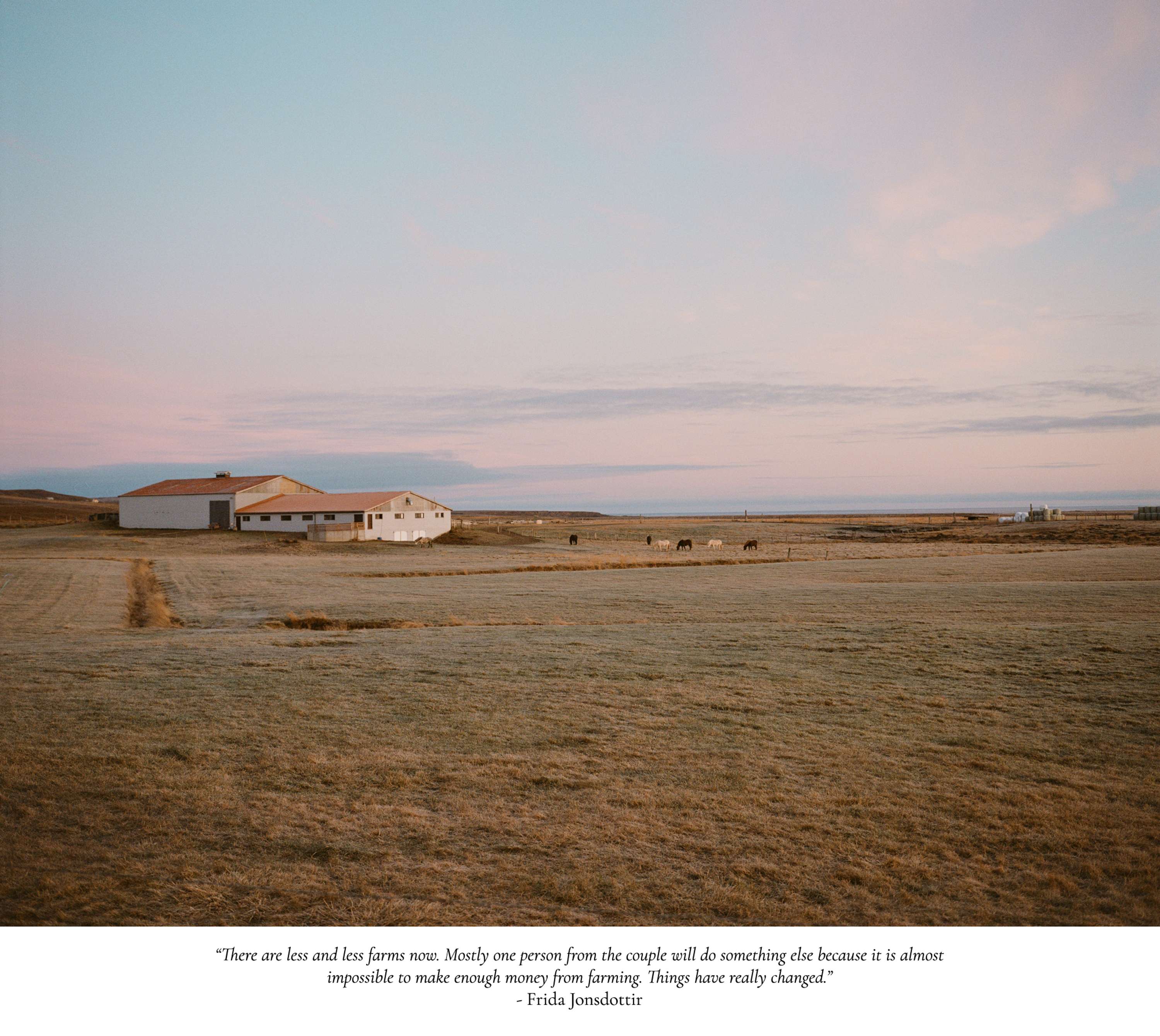 On The Farm by Chanel Irvine