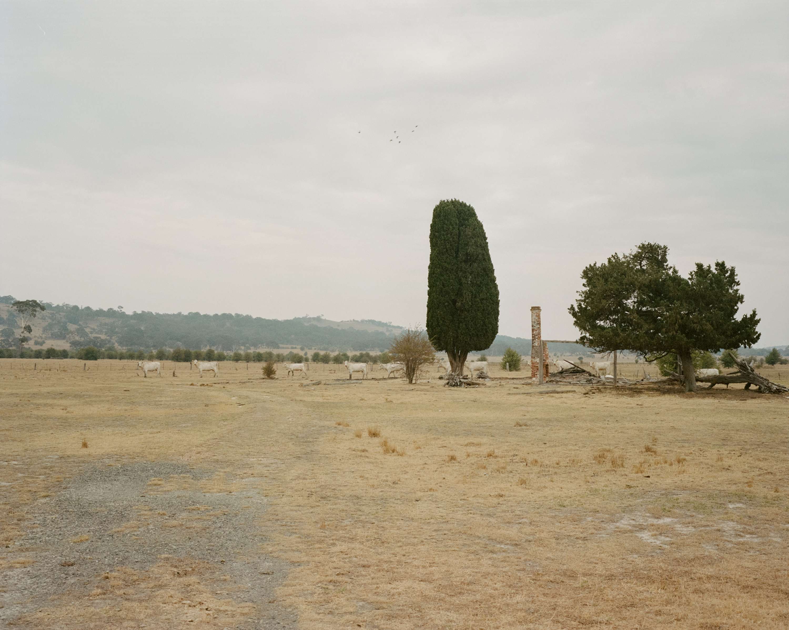 Time and Tide by Chanel Irvine