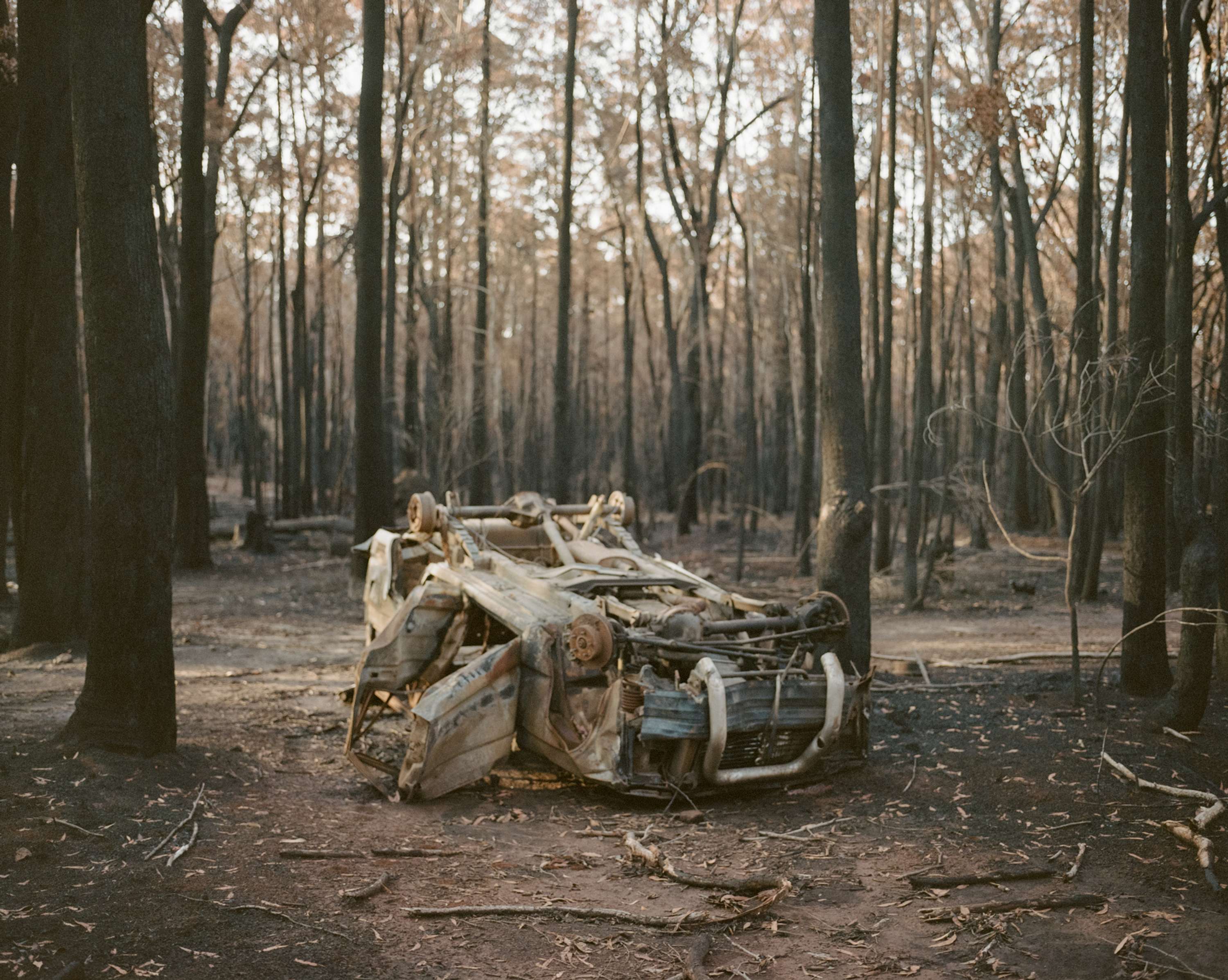 Time and Tide by Chanel Irvine