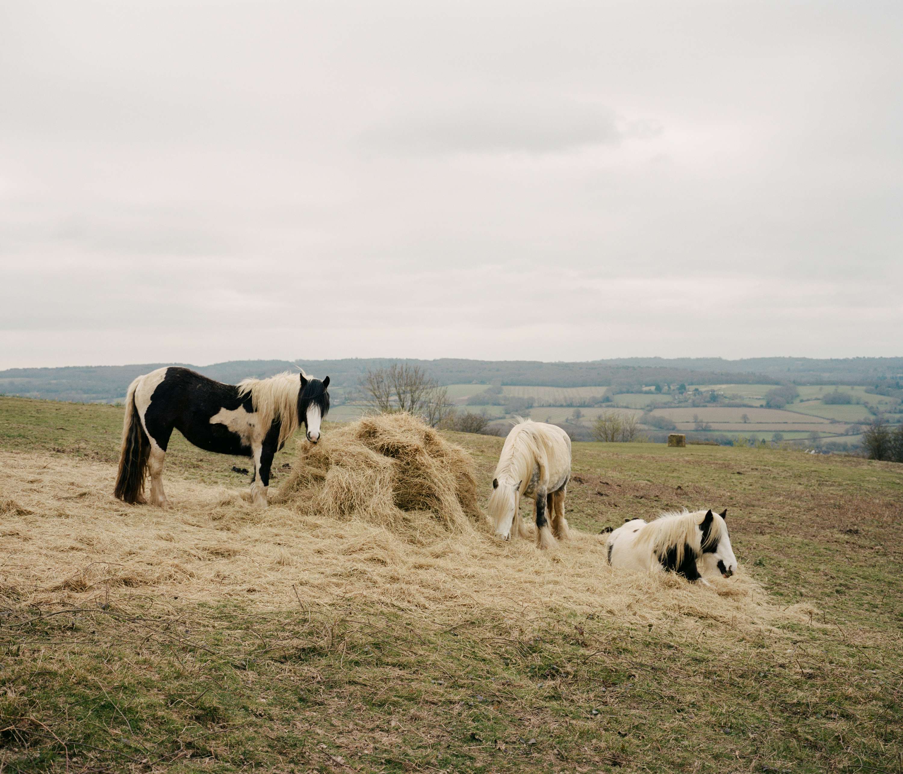 A Short Distance by Chanel Irvine