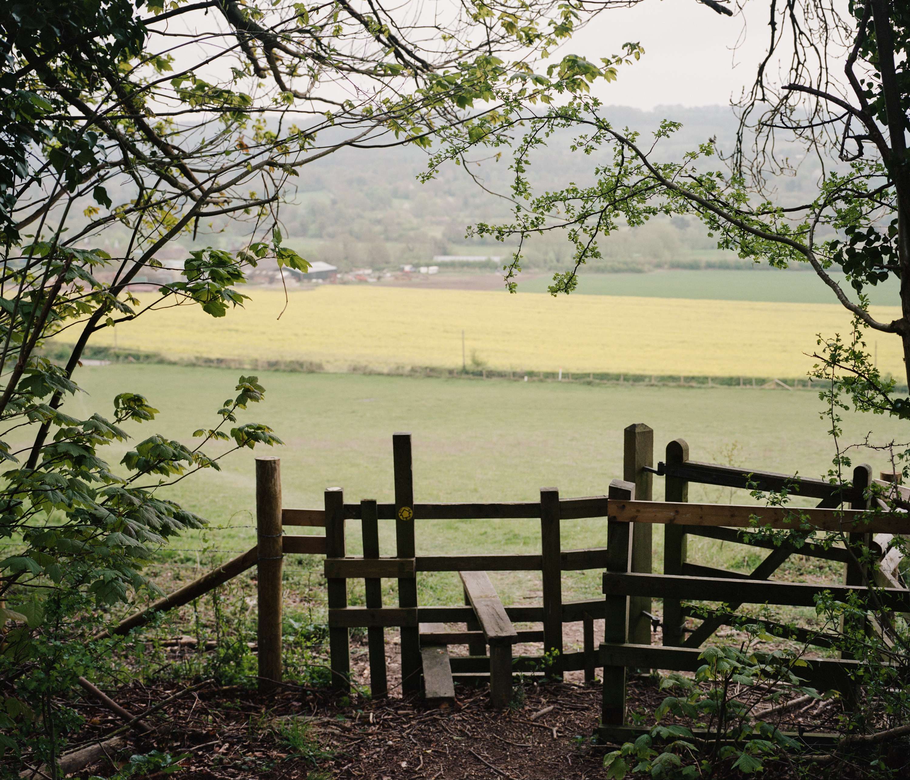 A Short Distance by Chanel Irvine