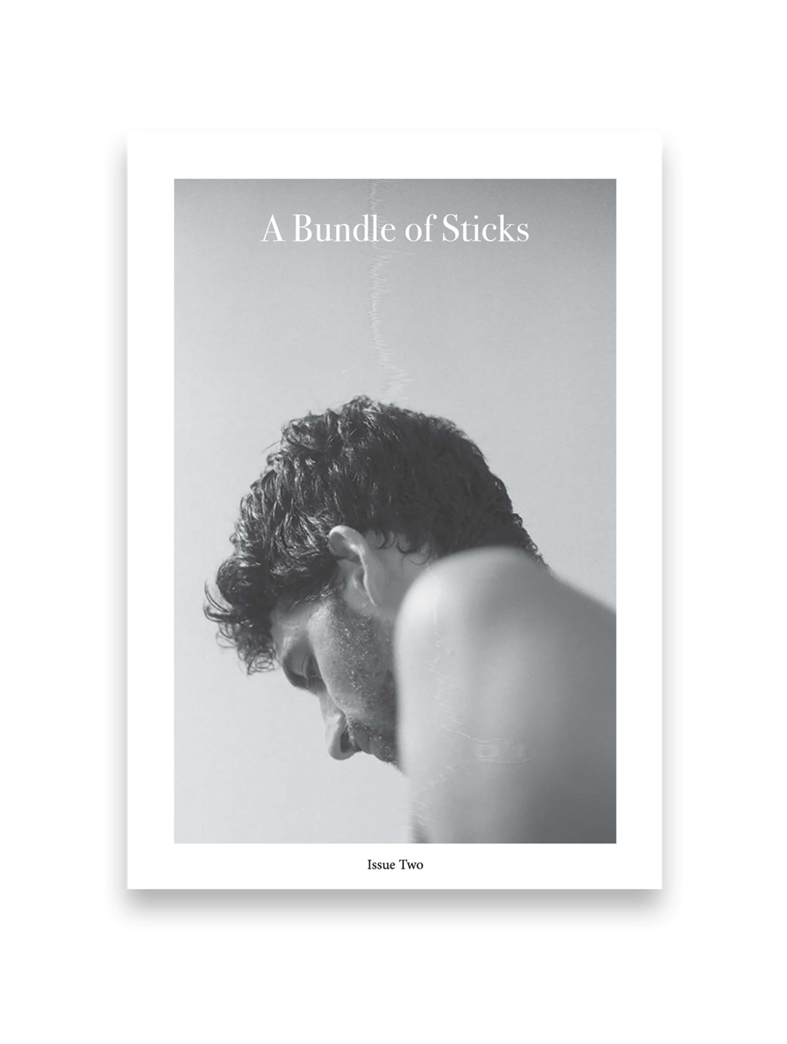 A Bundle of Sticks | Issue Two by John Furno