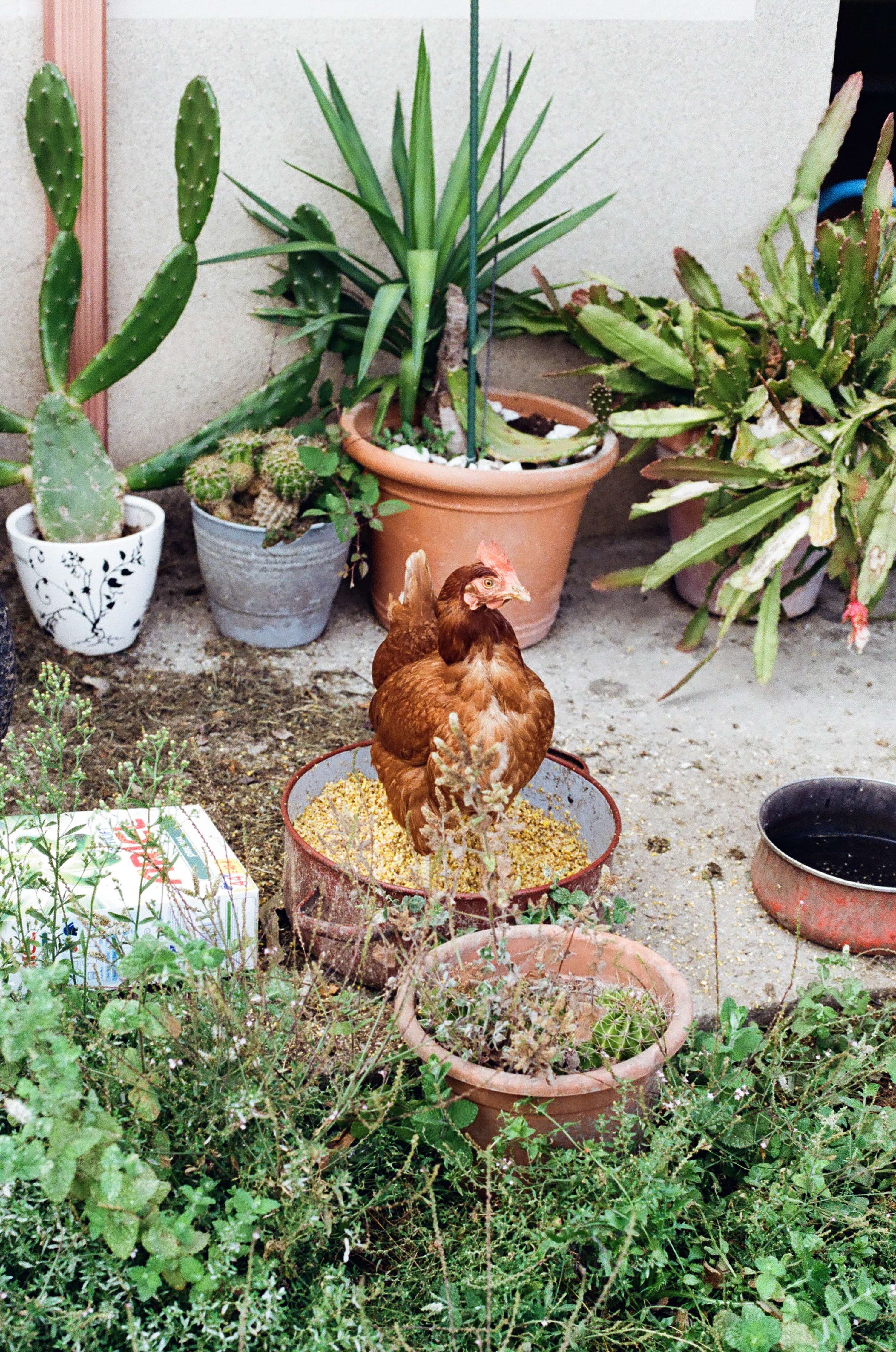 Analog Photography by Vanessa Mosquera Cabanas
