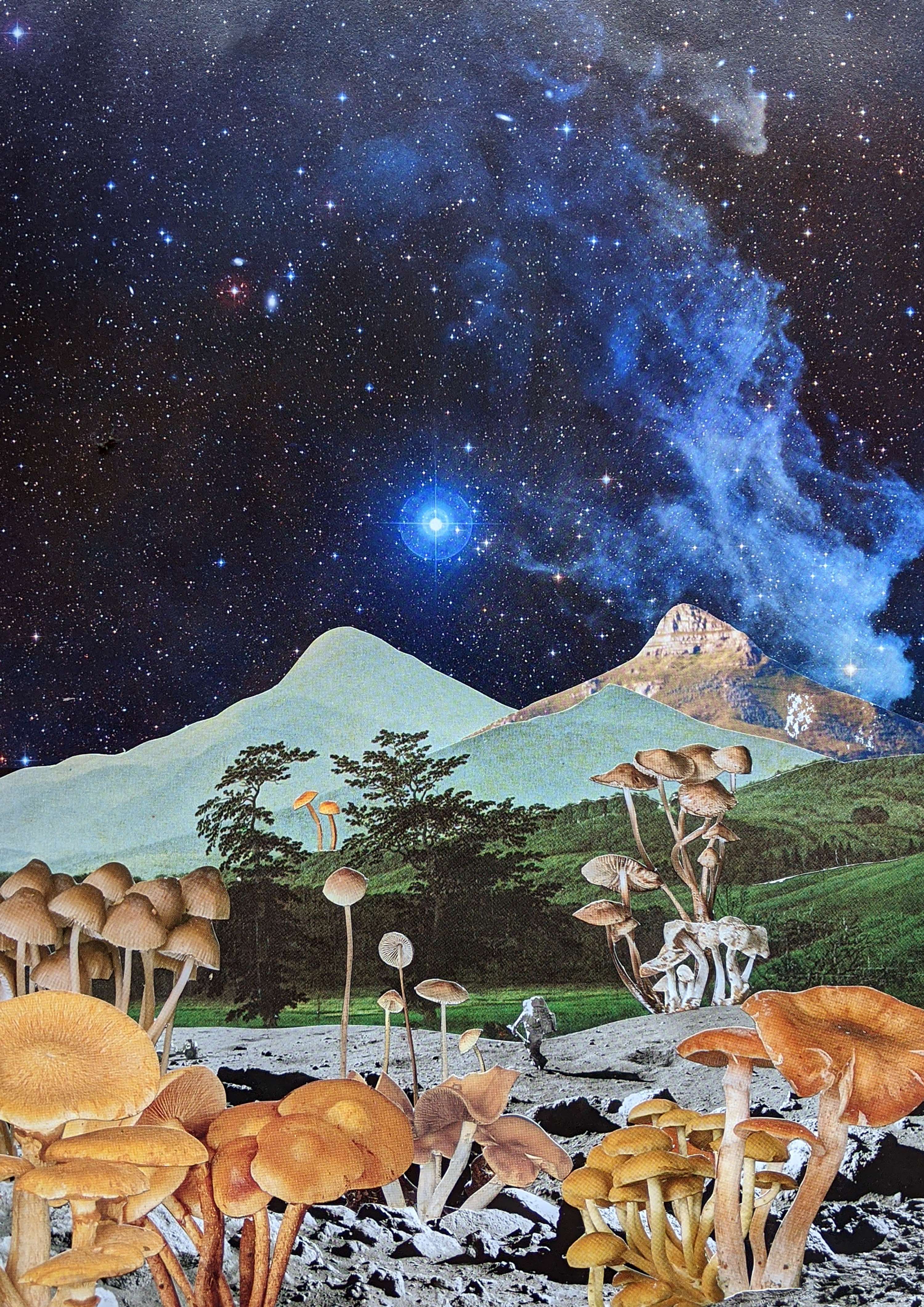 Collages by Vanessa Mosquera Cabanas