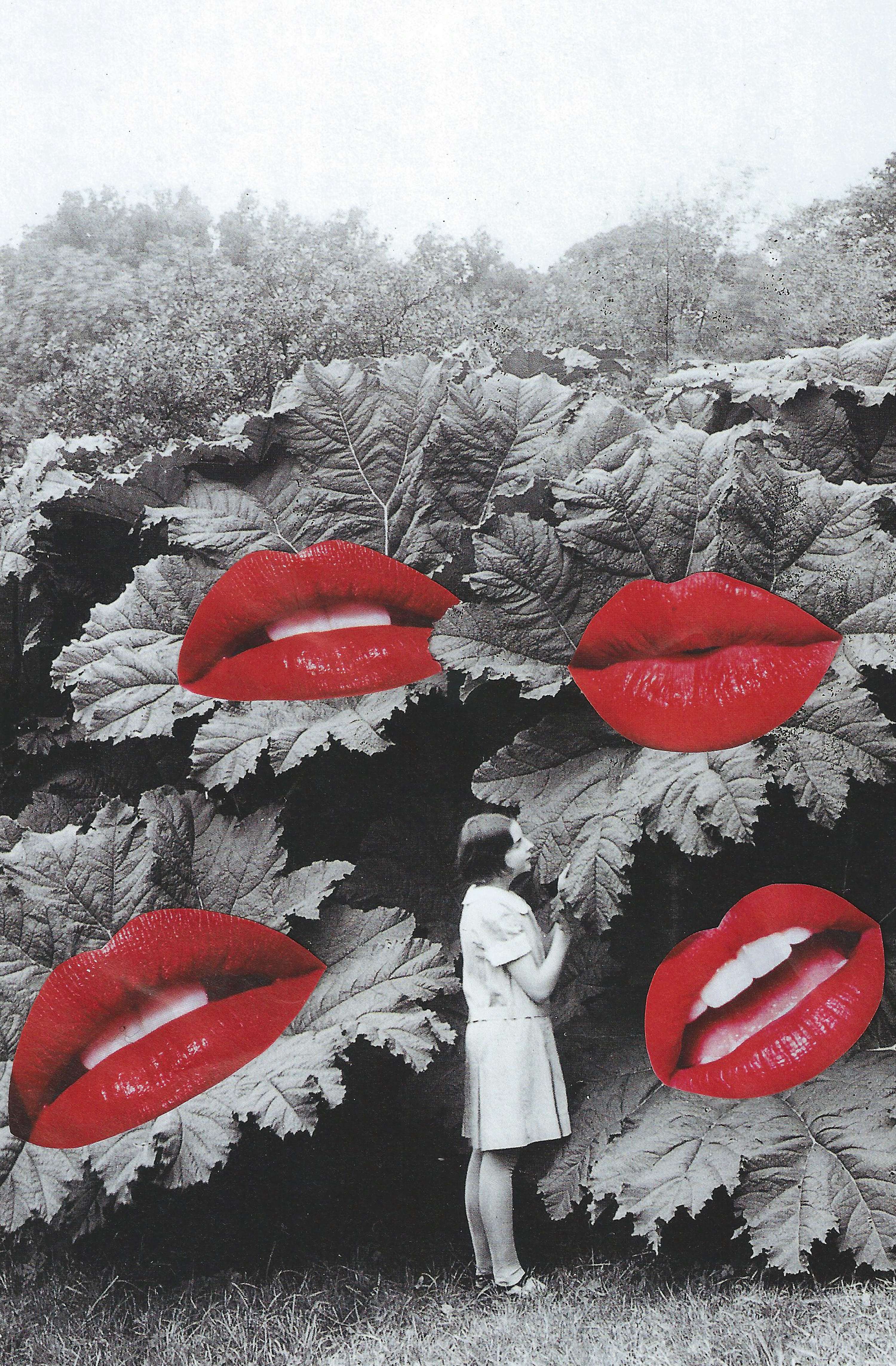Collages by Vanessa Mosquera Cabanas