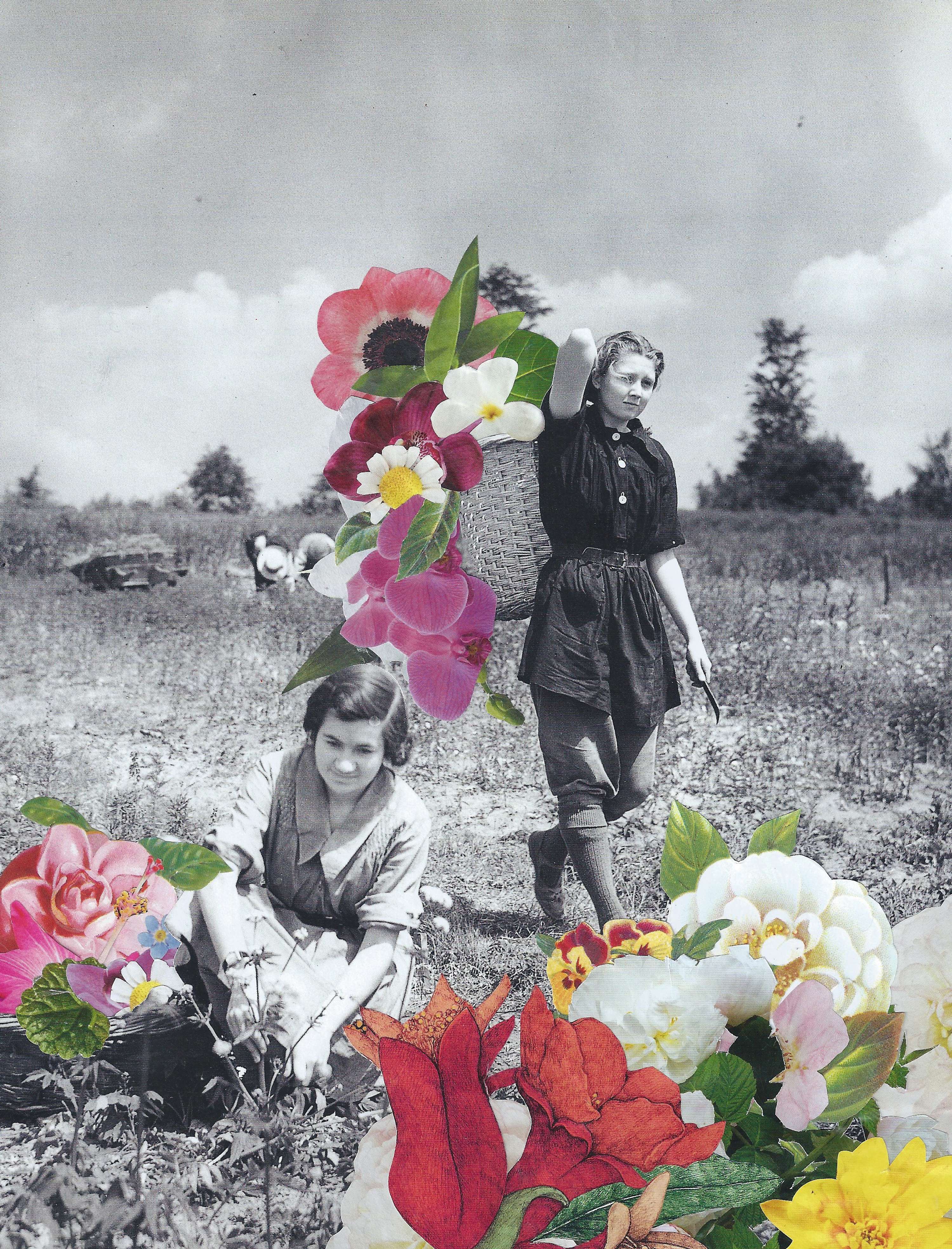 Collages by Vanessa Mosquera Cabanas