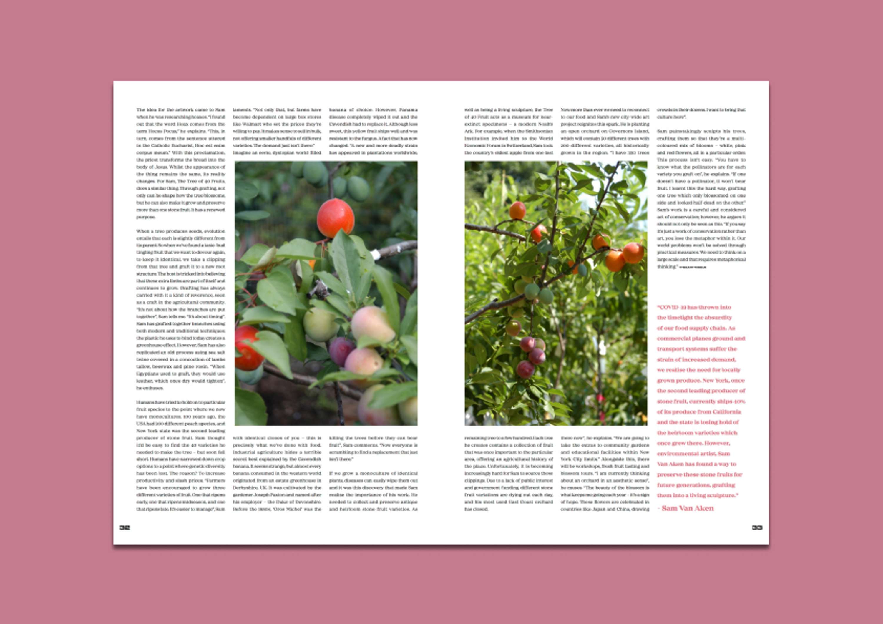 The Earth Issue: Tree of Forty Different Fruits by Emma Latham Phillips