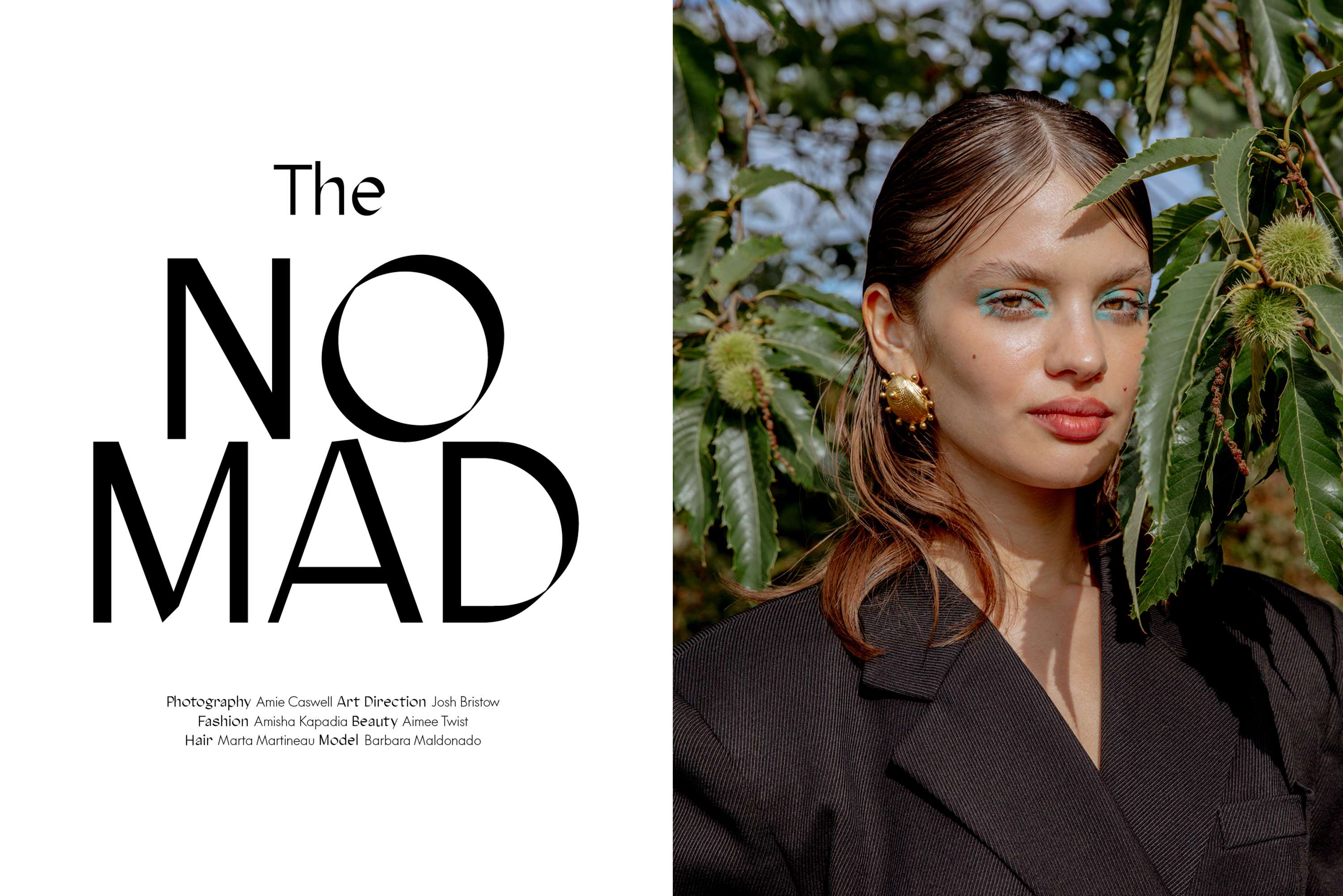 The Nomad by Josh Bristow