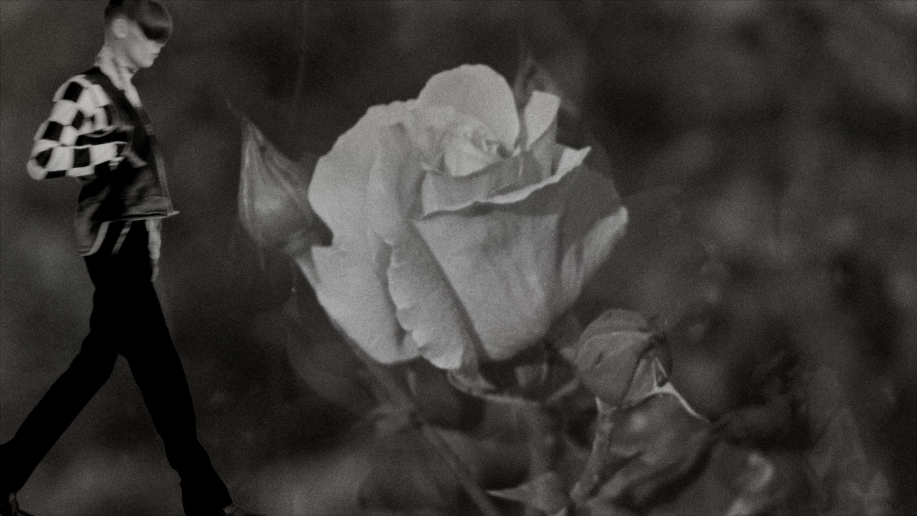 Stefan Cooke 'Advent' film for Guccifest.com by Natasha Booth