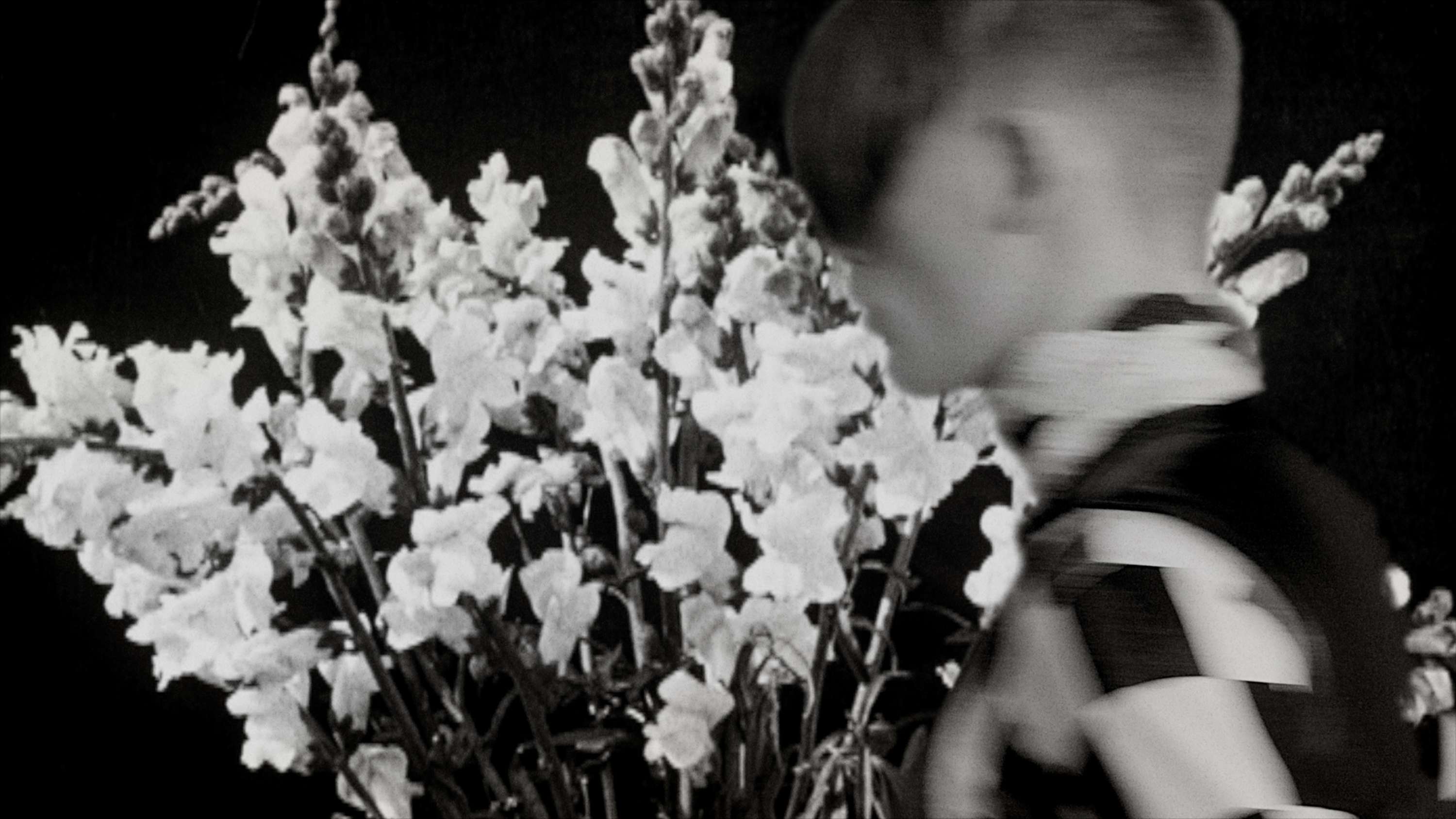 Stefan Cooke 'Advent' film for Guccifest.com by Natasha Booth