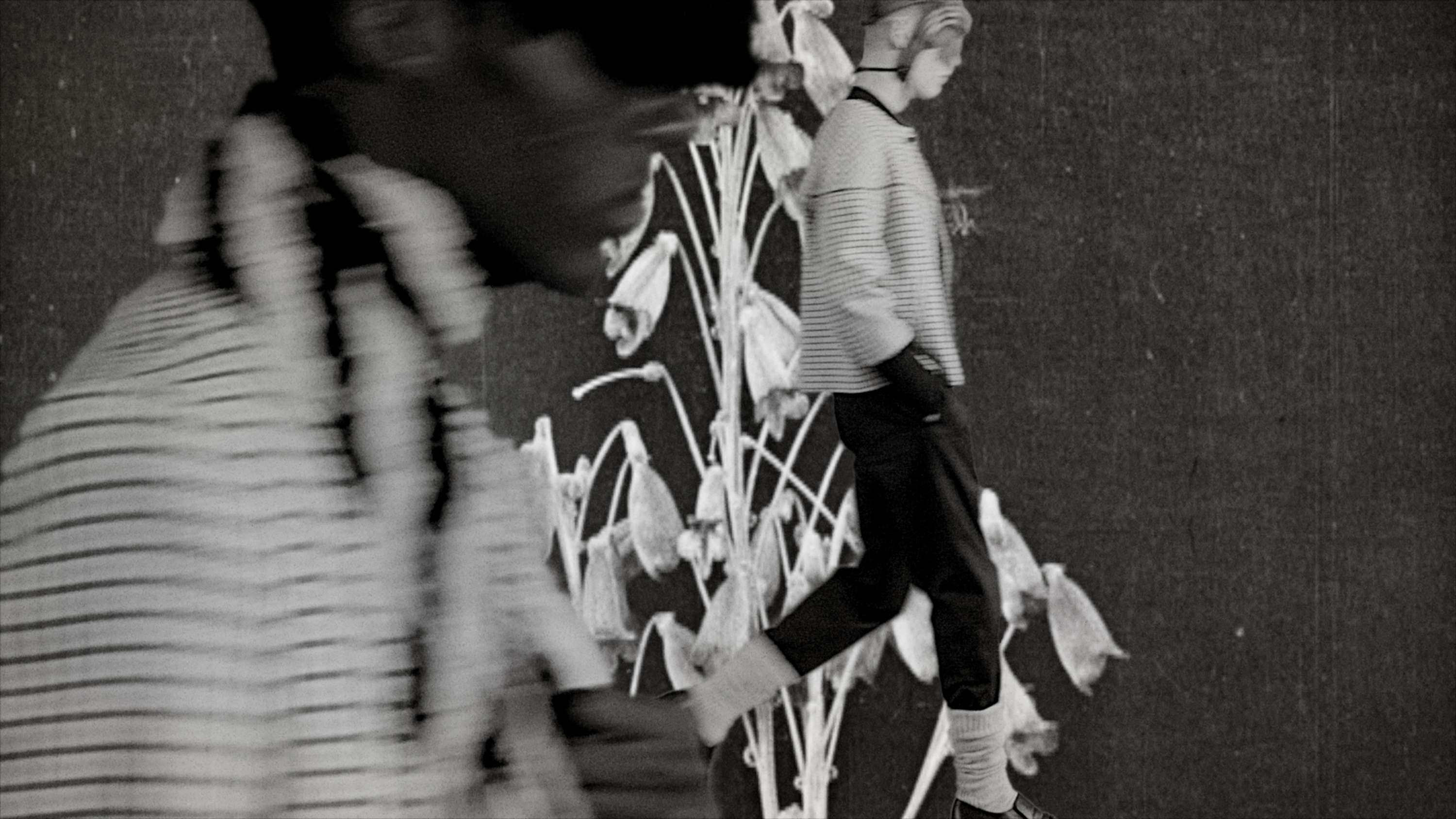 Stefan Cooke 'Advent' film for Guccifest.com by Natasha Booth