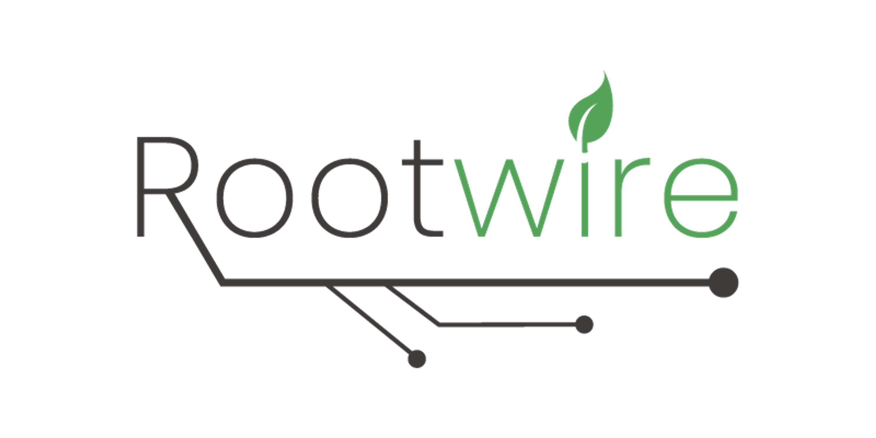 Rootwire - visual identity by Valeria Romeo