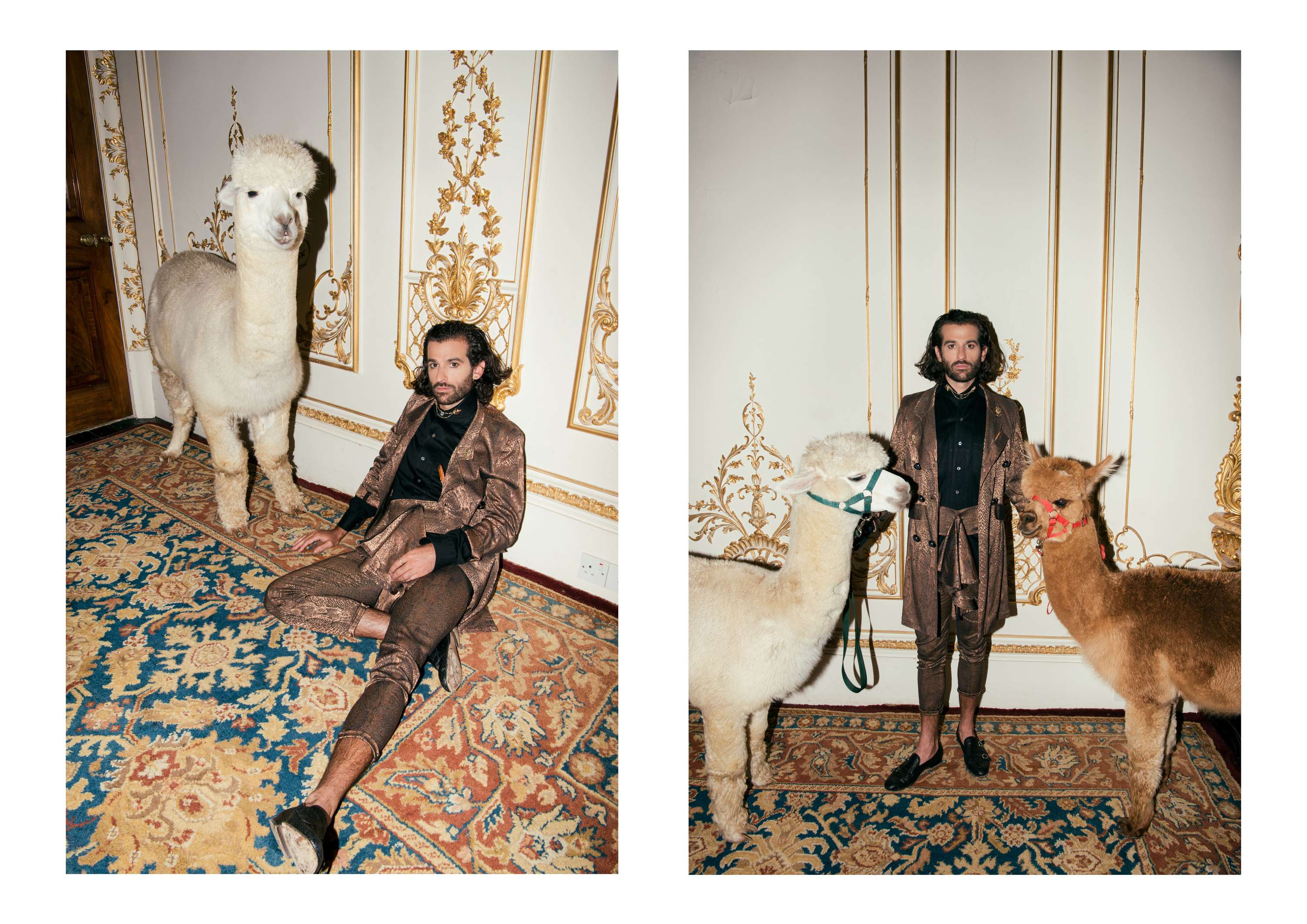 King Charles by Joupin Ghamsari