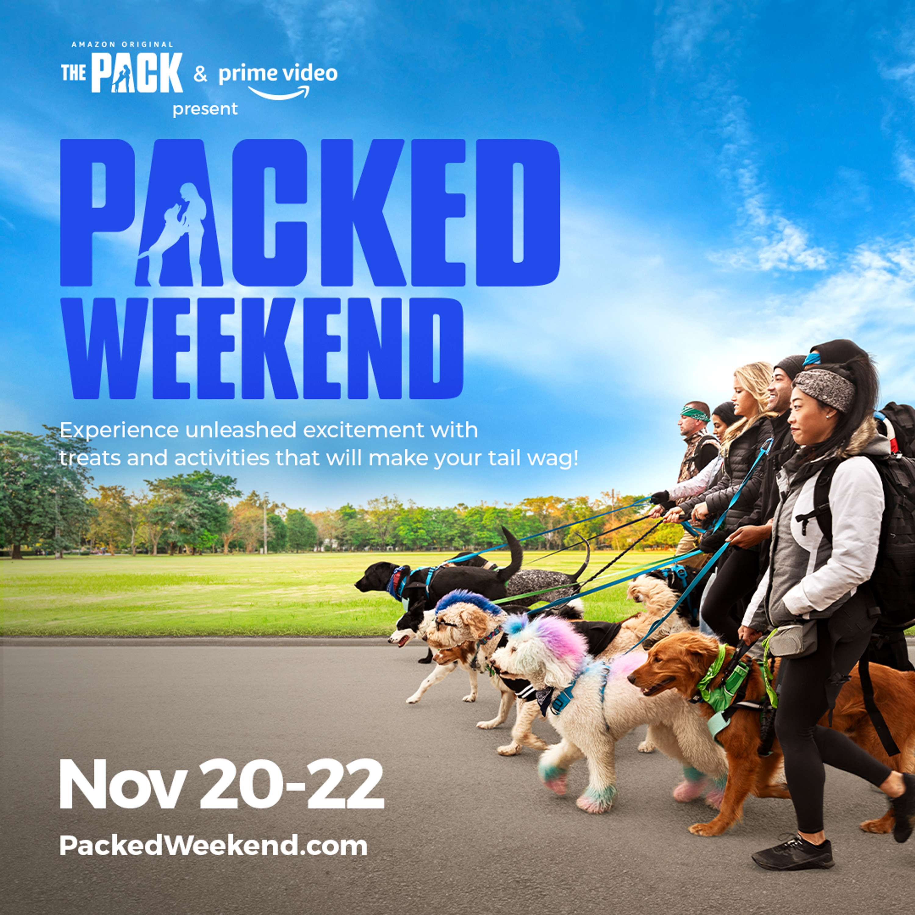 The Pack - Amazon Studios by David Scott Holloway