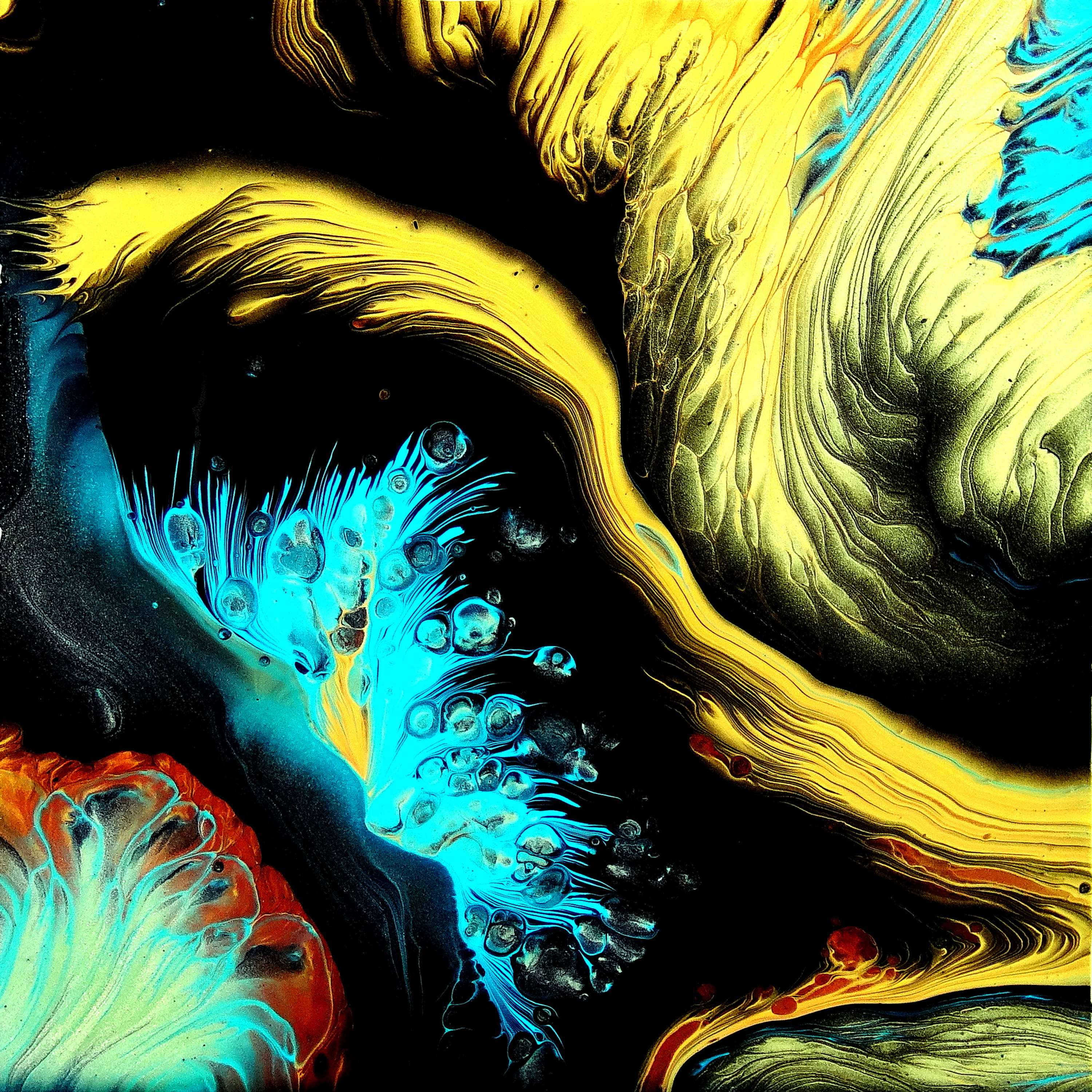 Deep Sea ~ SPLIT CUP pour ~ Fluid art painting ~ #StayCreative ~ Fiona Art by Fiona Art