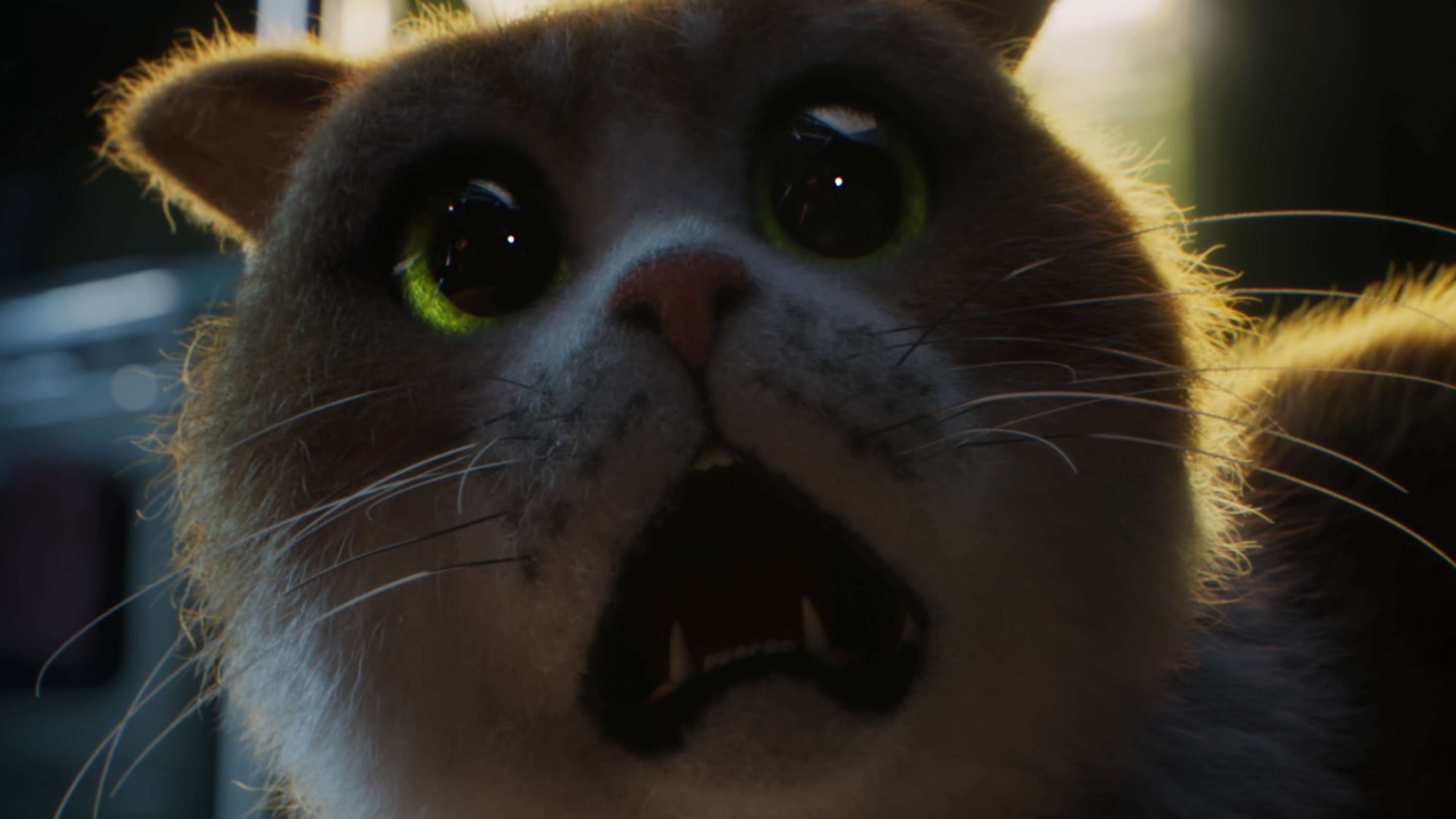 Scaredy Cat by adam&eveDDB
