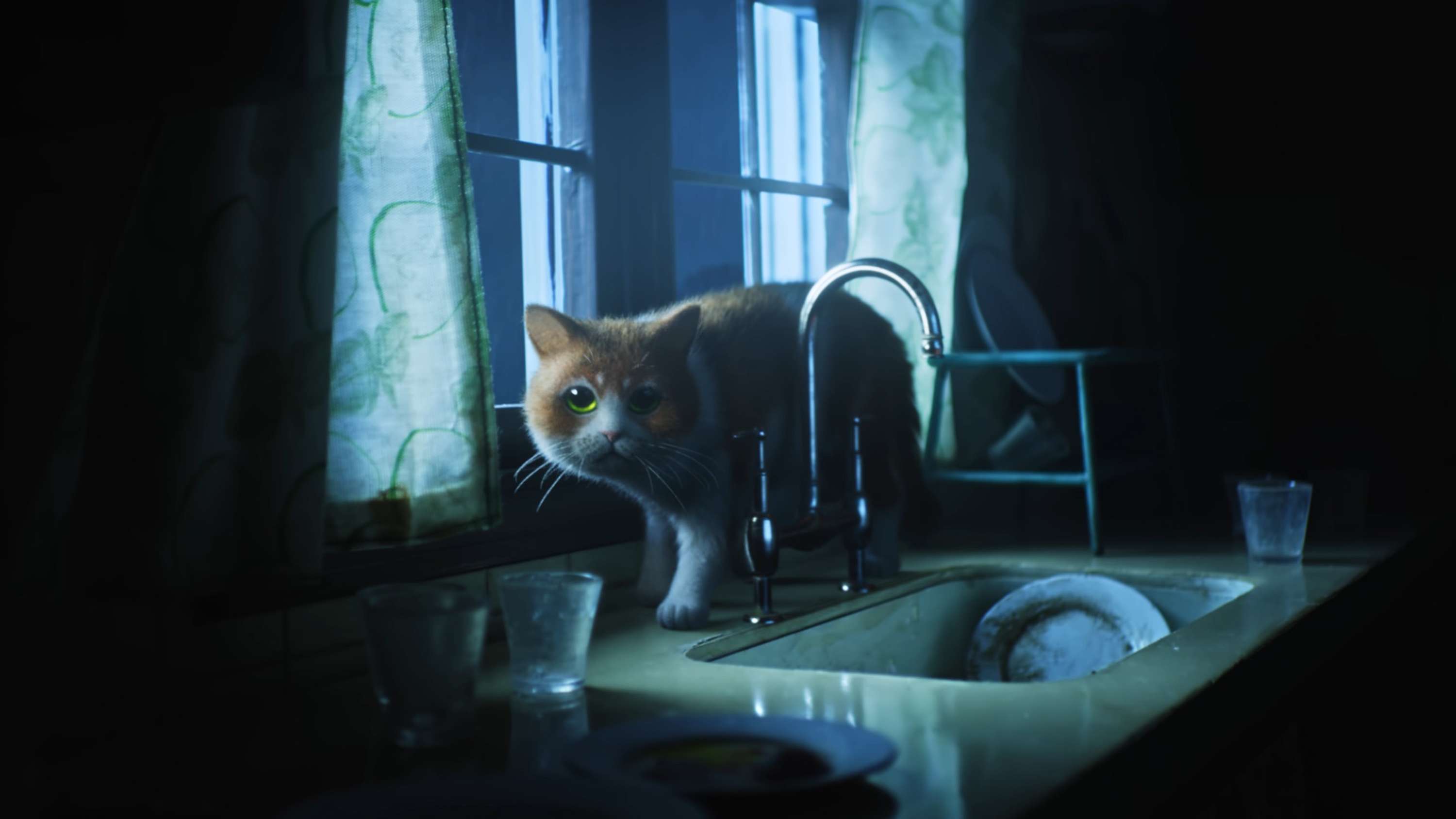 Scaredy Cat by adam&eveDDB