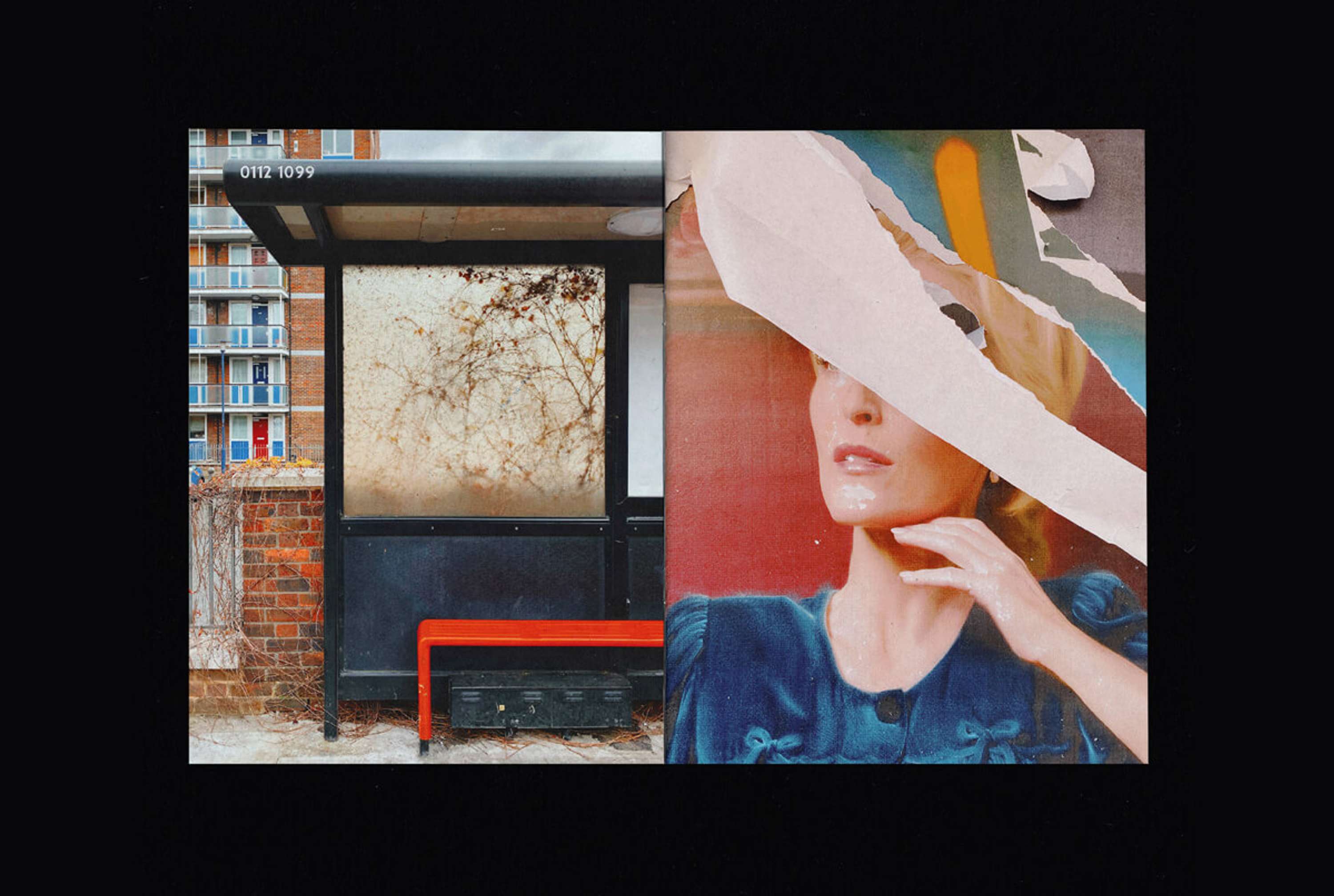 One Form of Exercise by Sam Norris