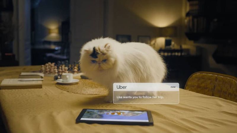 Uber Stand for Safety Campaign by Lucinda Allen