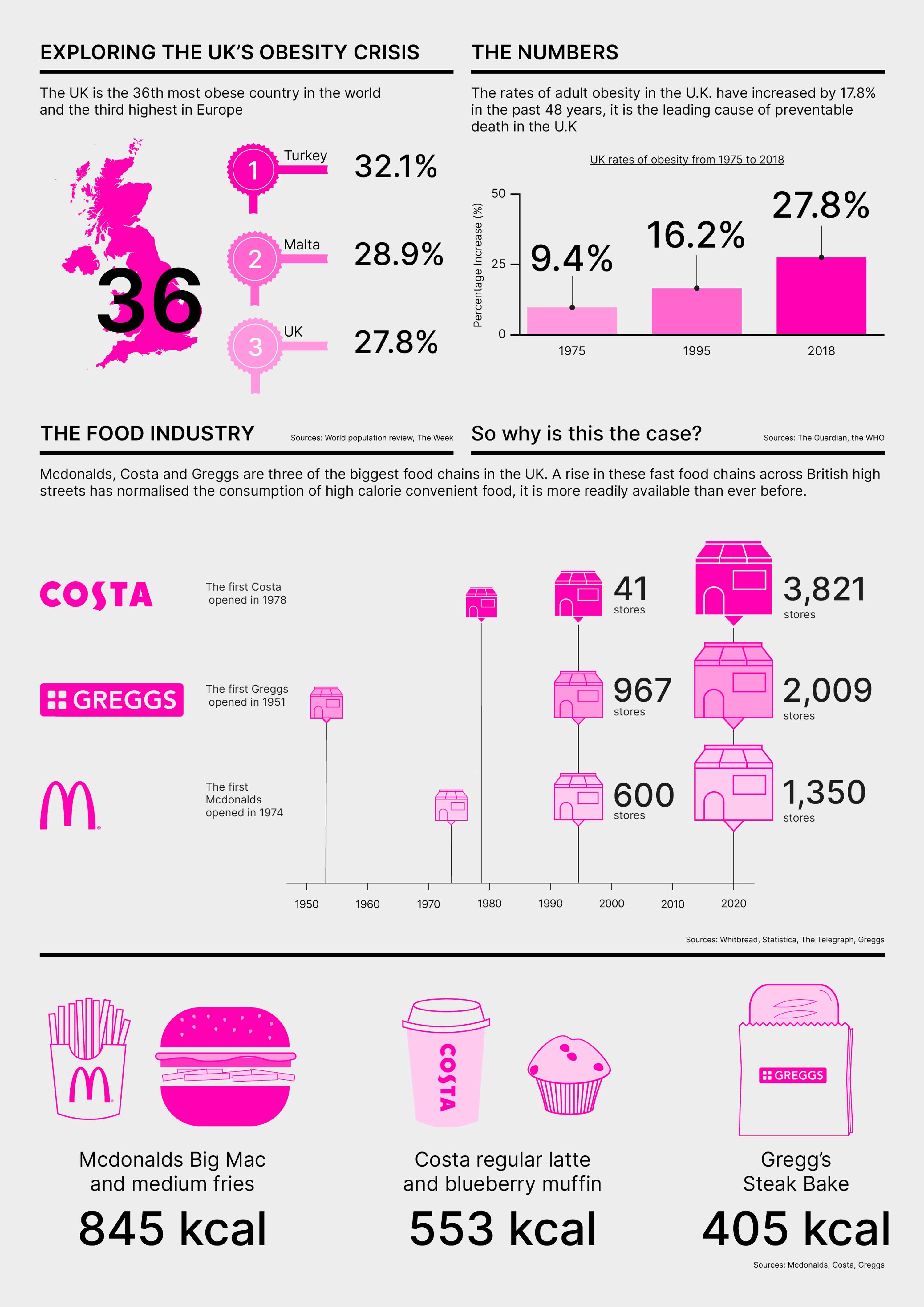 Information Design by Hajra Mubashar