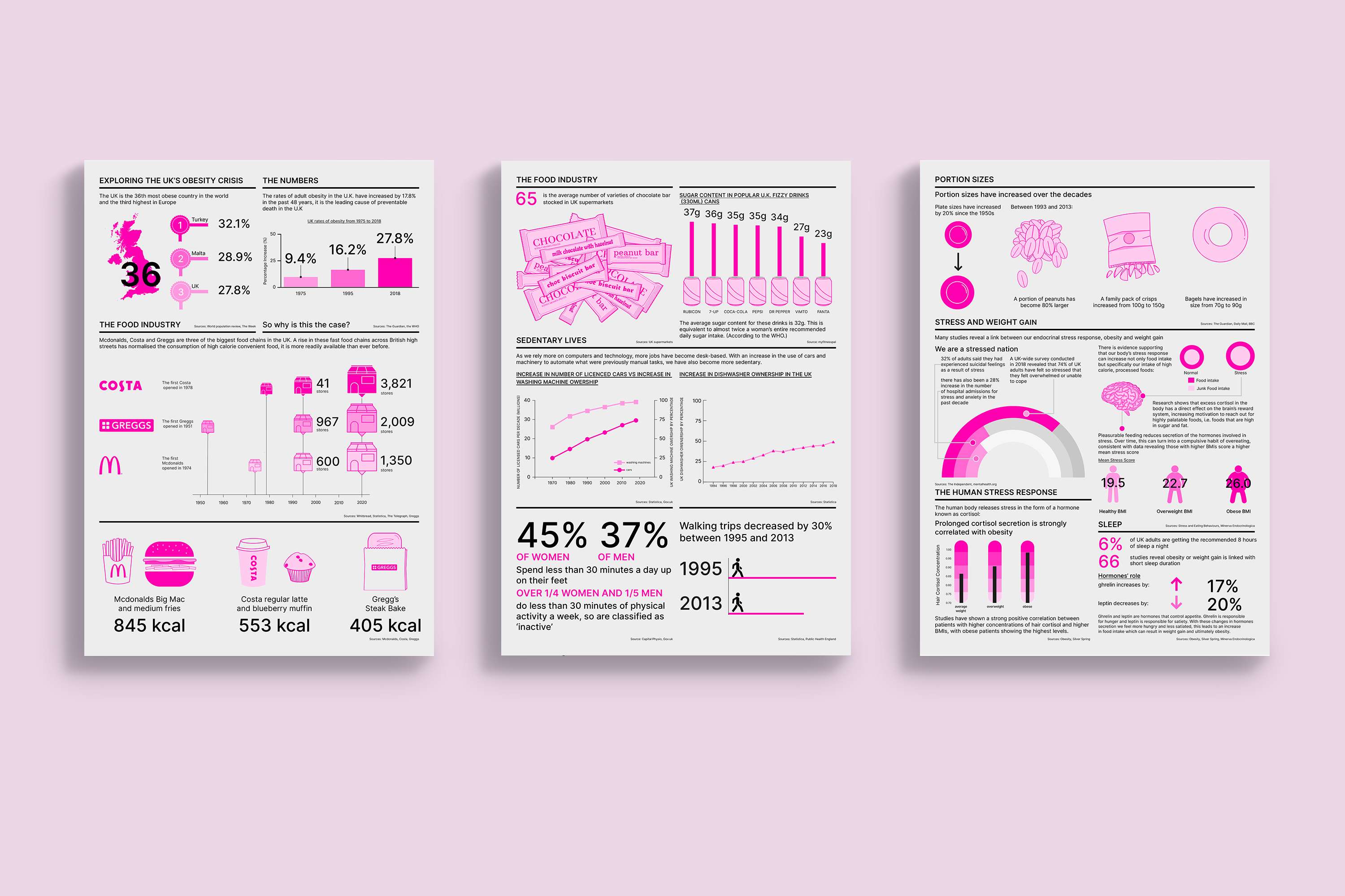 Information Design by Hajra Mubashar