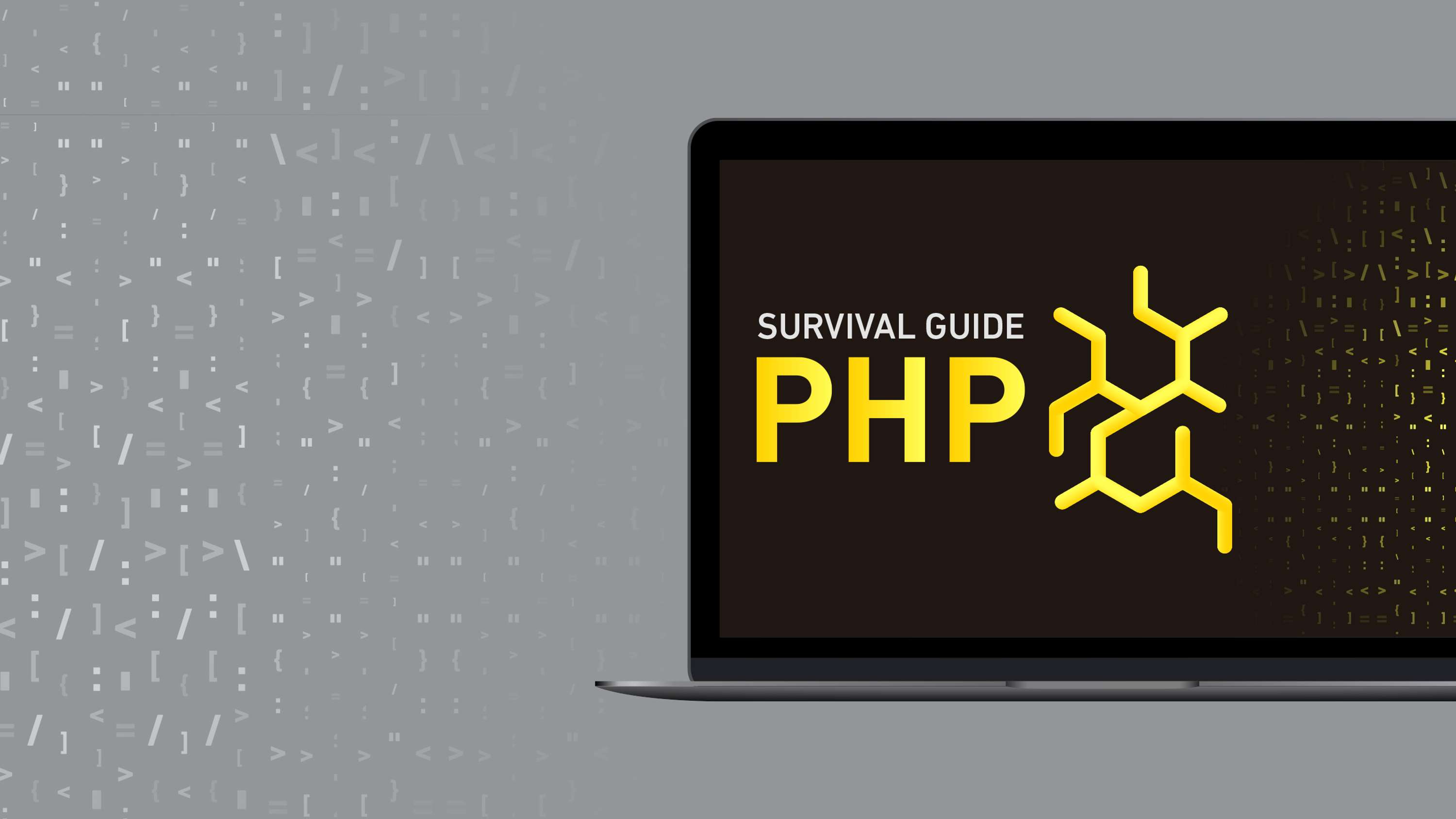 PHP Survival Guide by Ashley Paul Bell