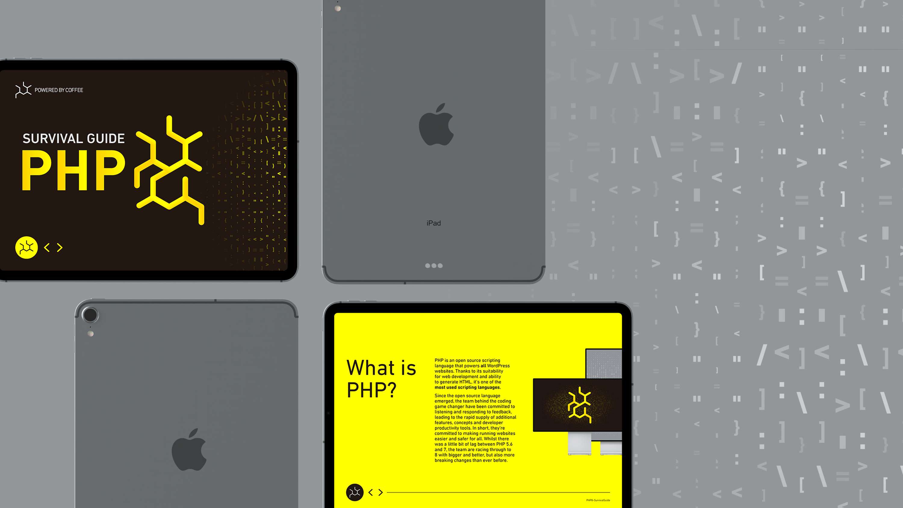 PHP Survival Guide by Ashley Paul Bell