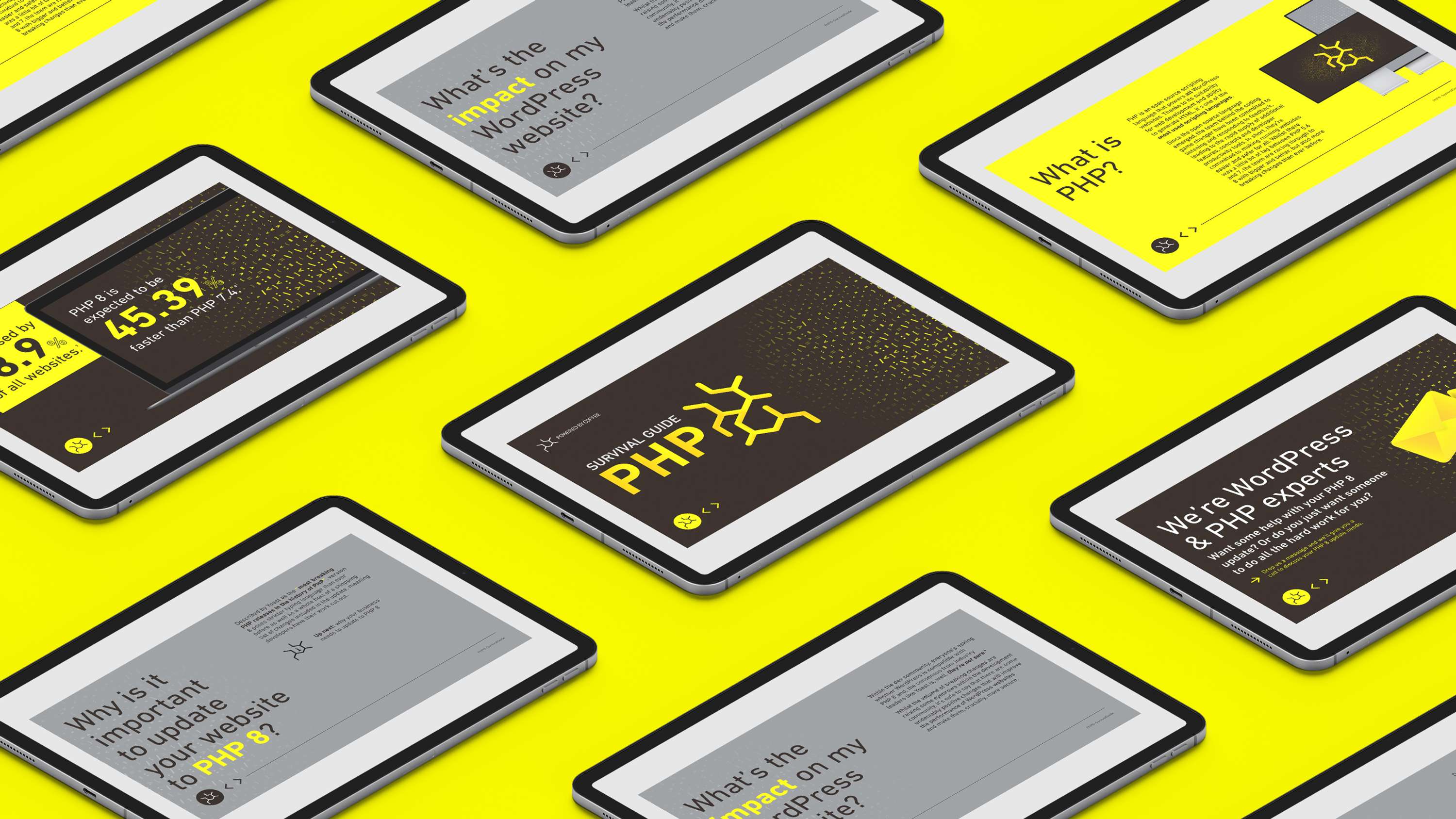 PHP Survival Guide by Ashley Paul Bell