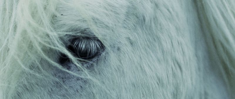 'Quattro Movimenti: A Study on Scelsi'- film commissioned by The London Contemporary Orchestra by Nicol V