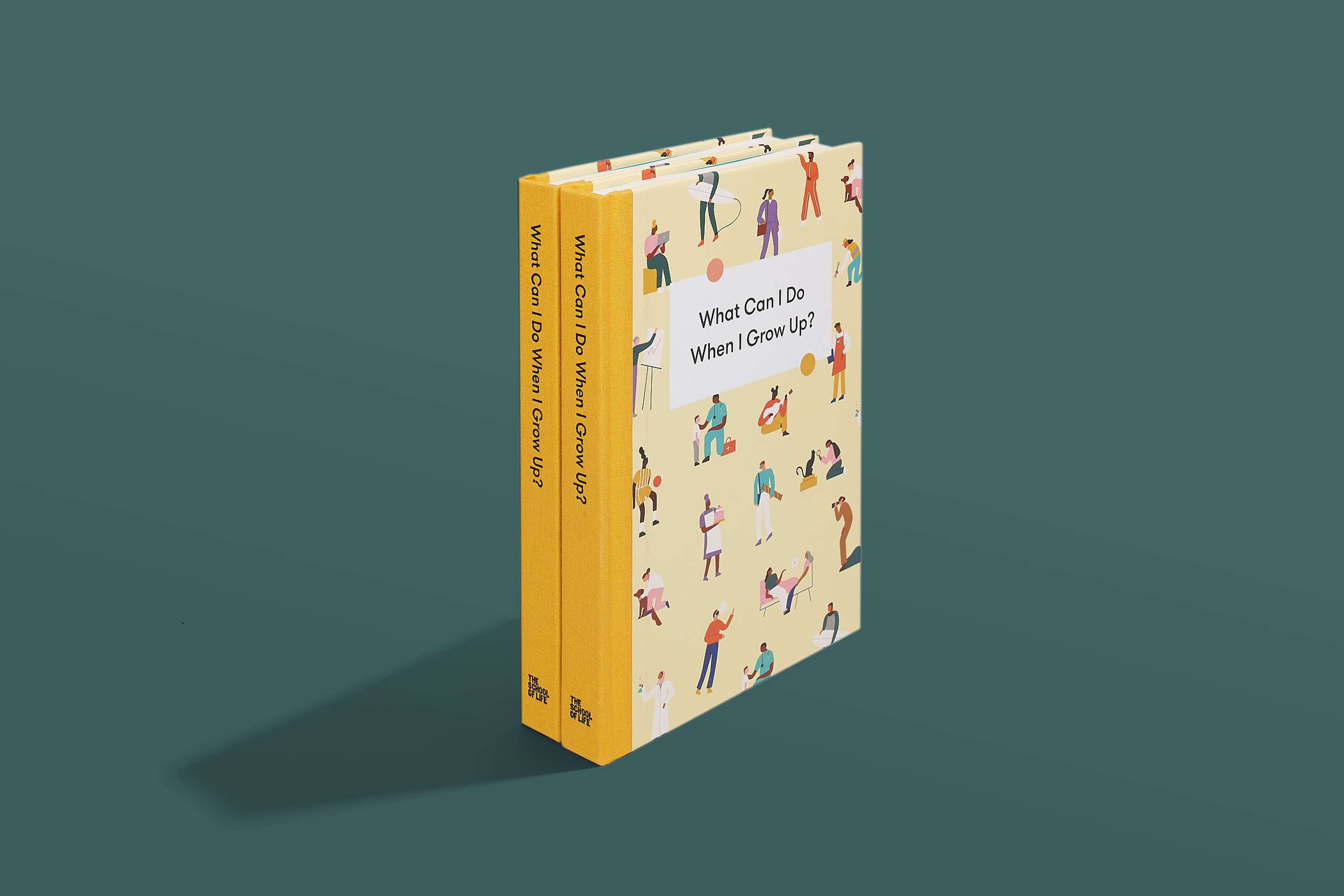 What Can I Do When I Grow Up? by Katie Kerr