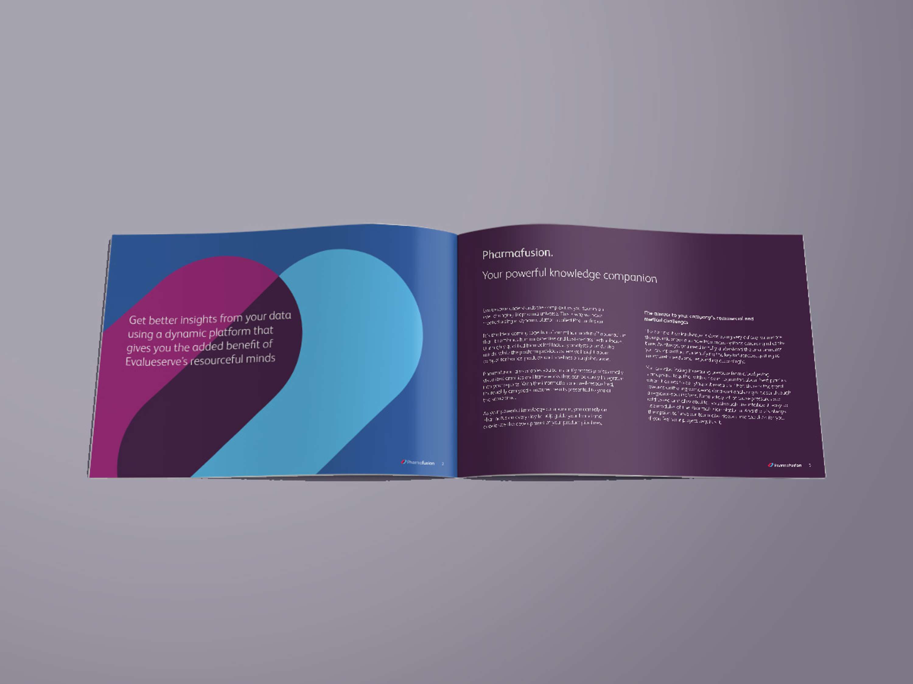 Evalueserve by Geoffrey Idun