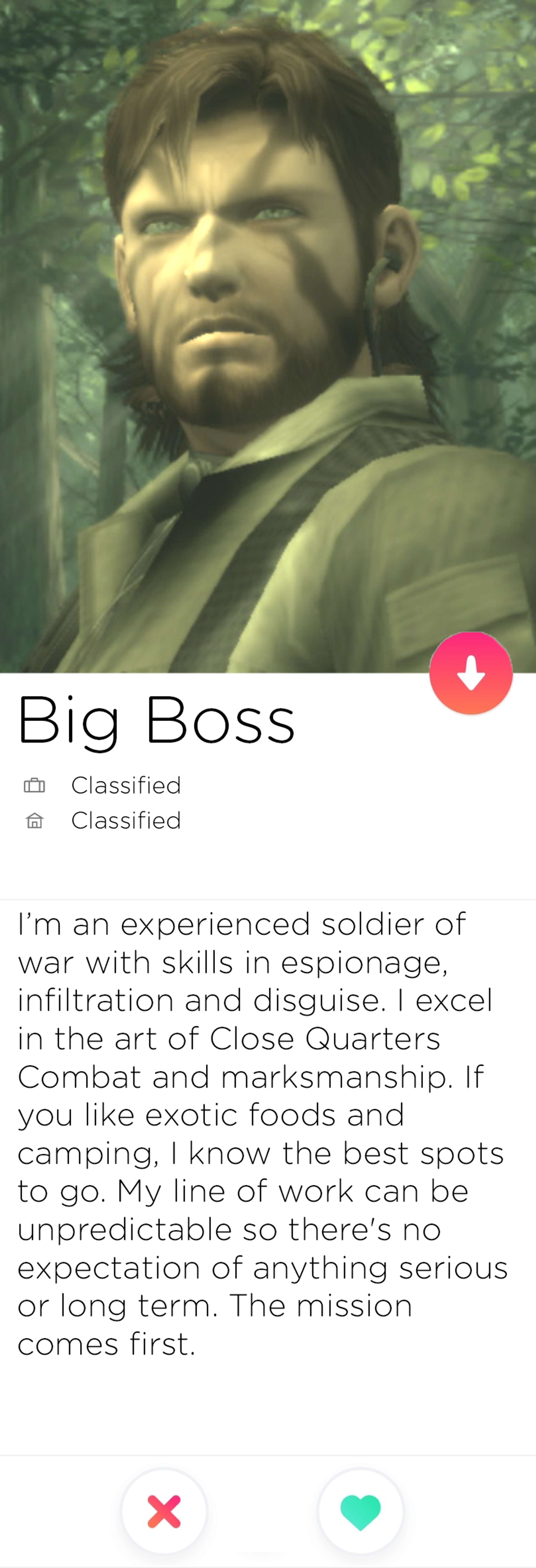 If Videogame Characters had Dating Profiles by Hassan Motiwala